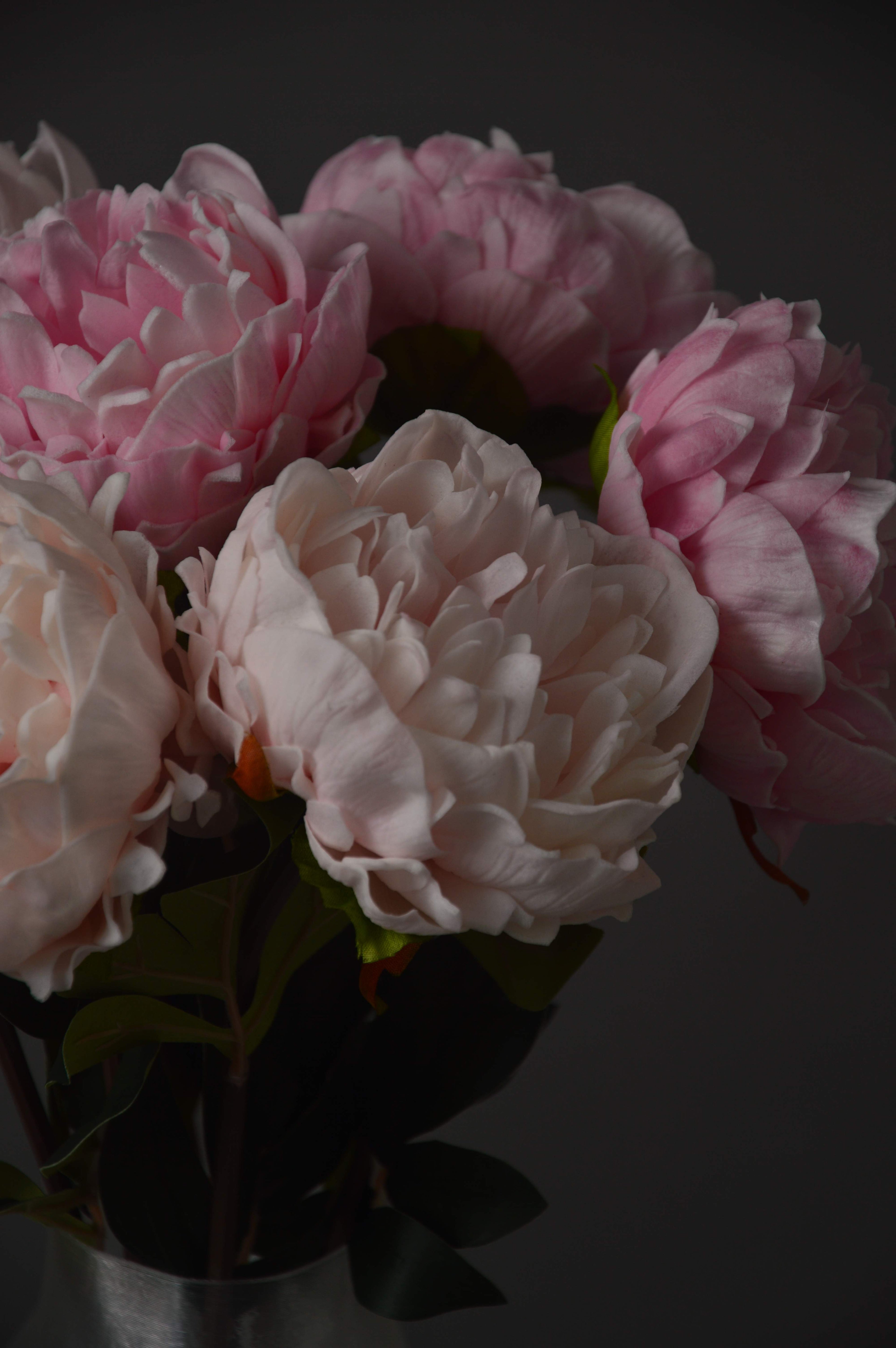 Pretty Peonies 2.0