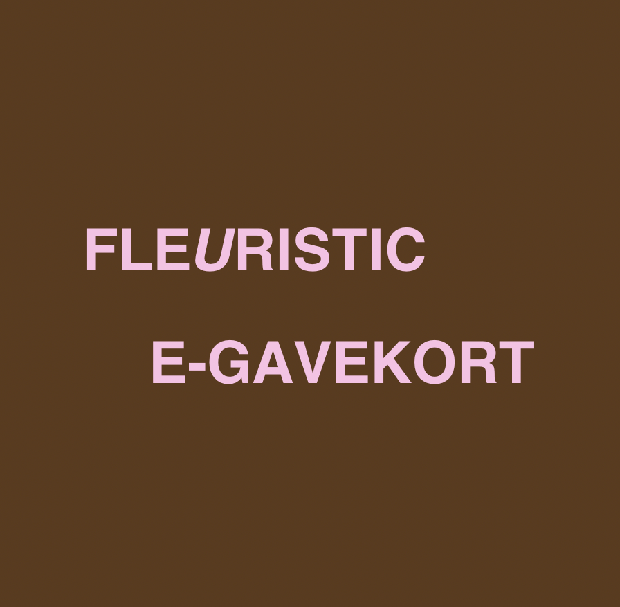 E-GAVEKORT