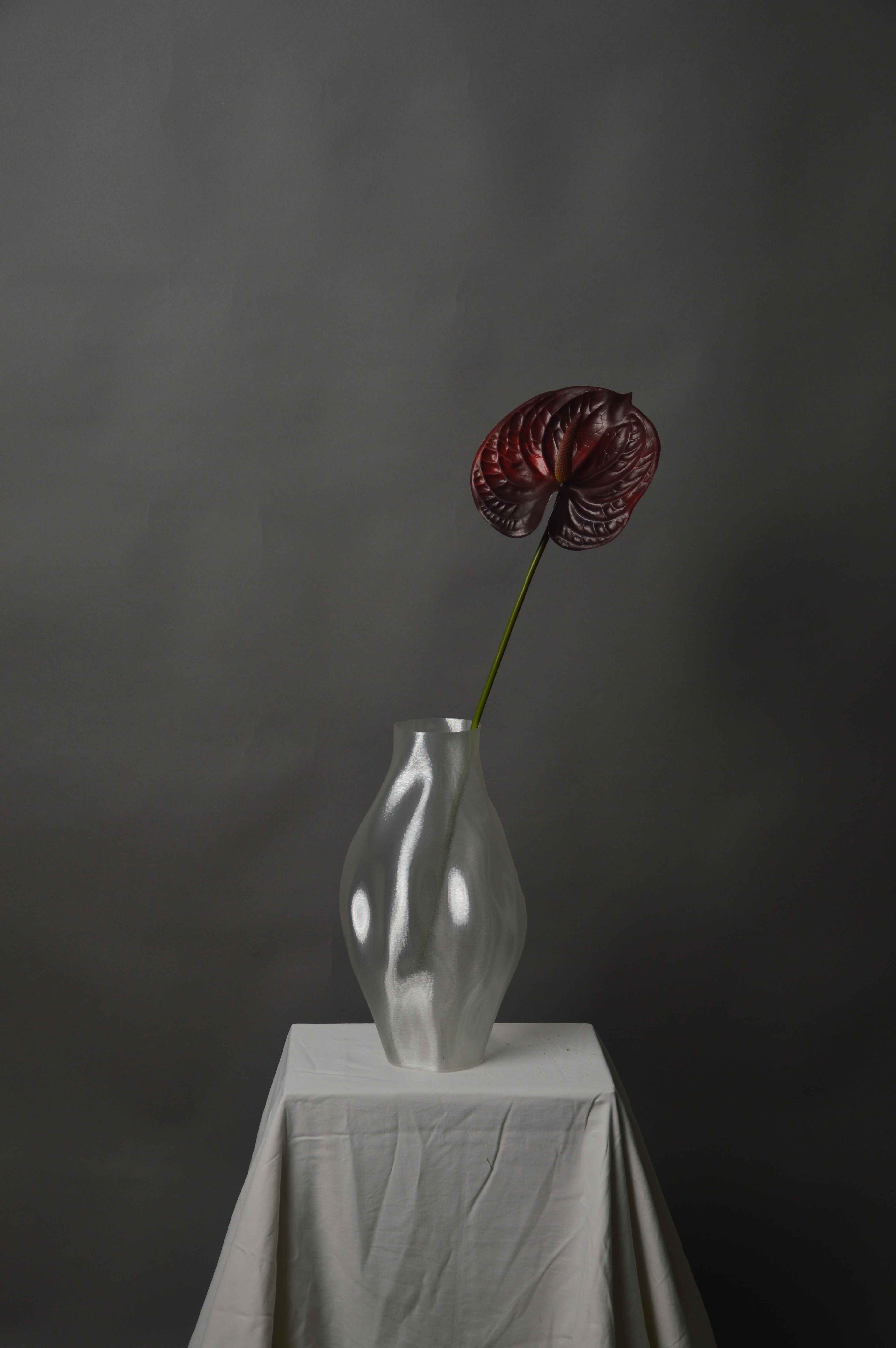 Anthurium