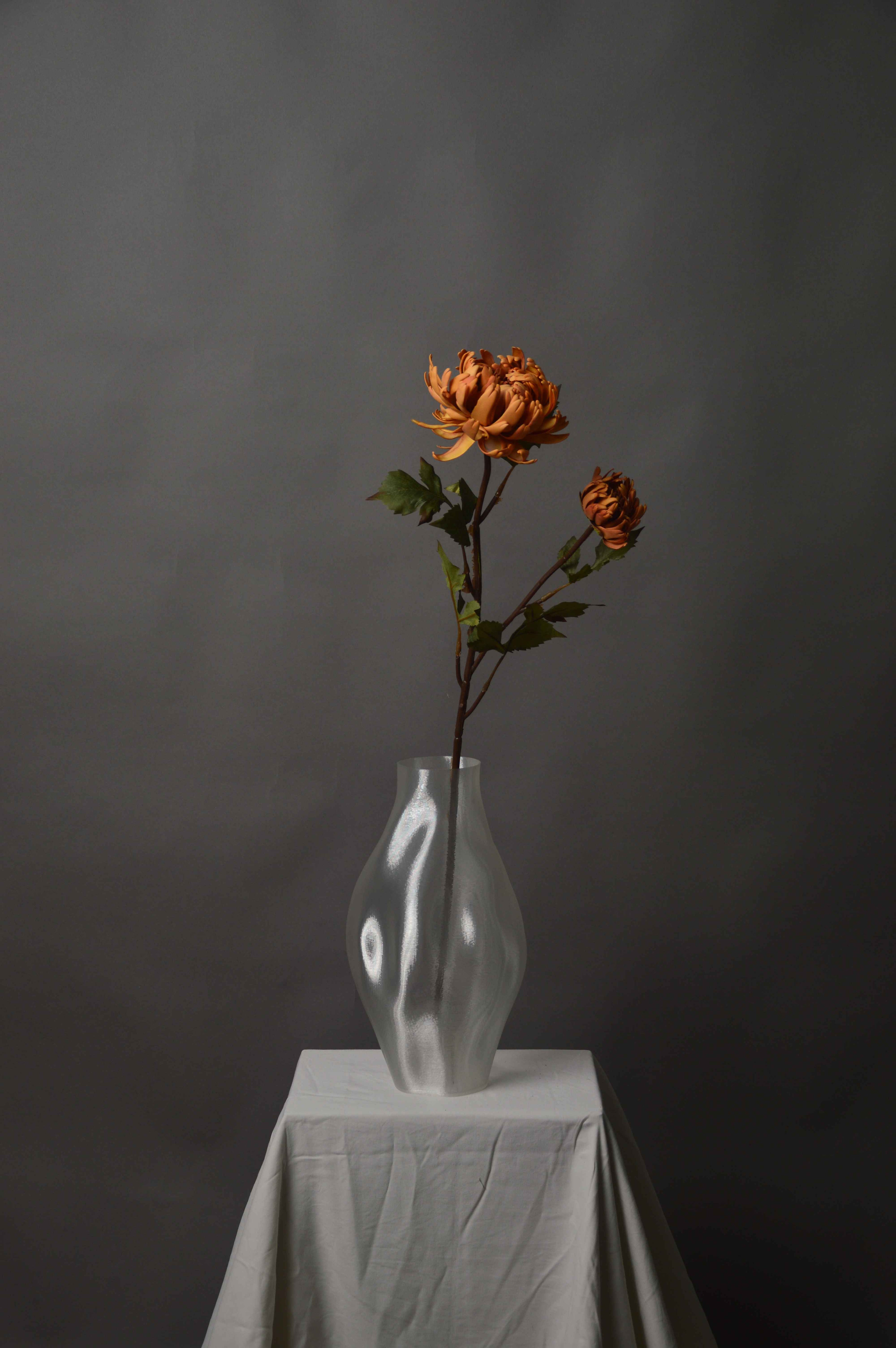 Chrysanthemum