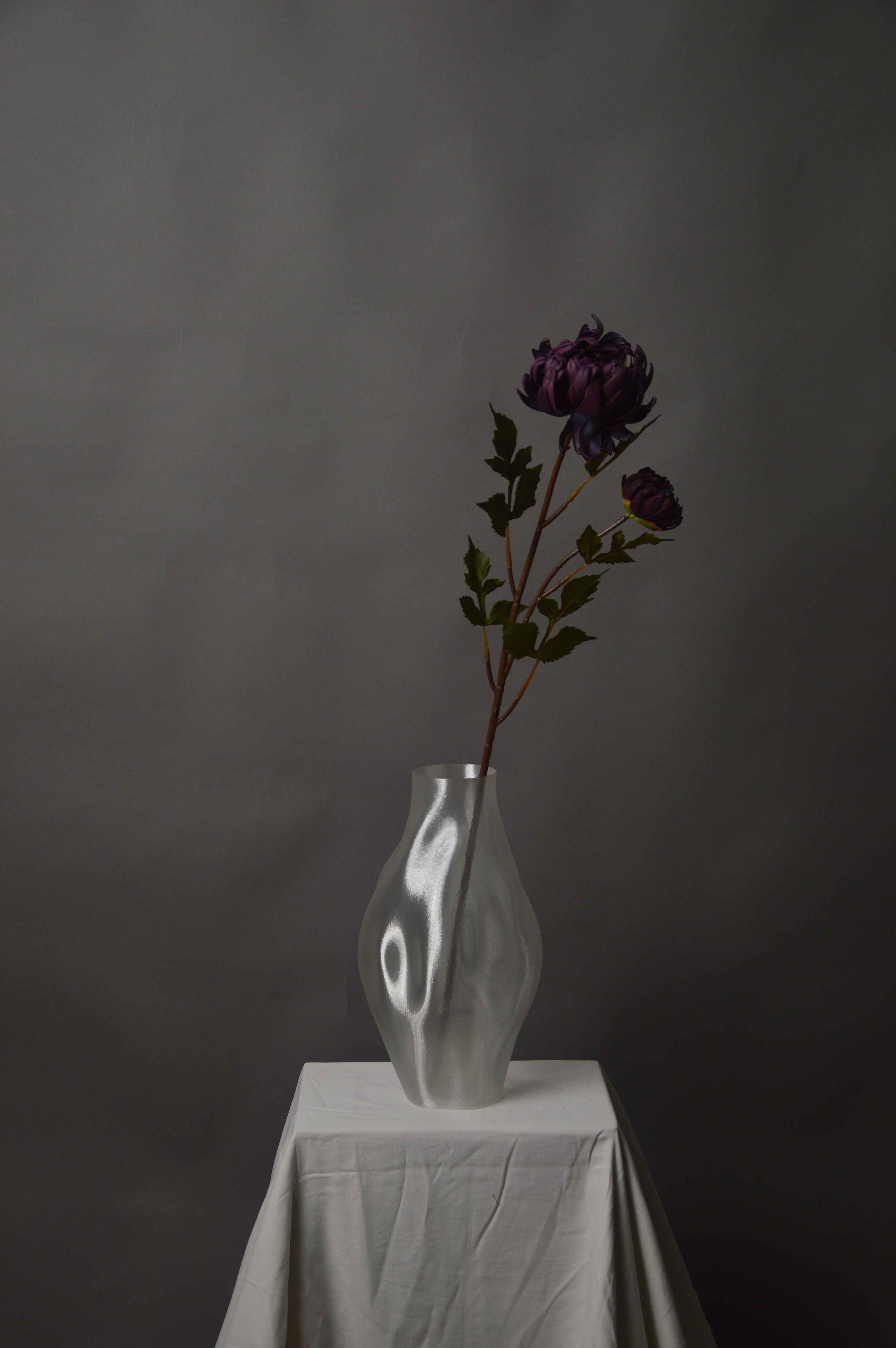 Chrysanthemum