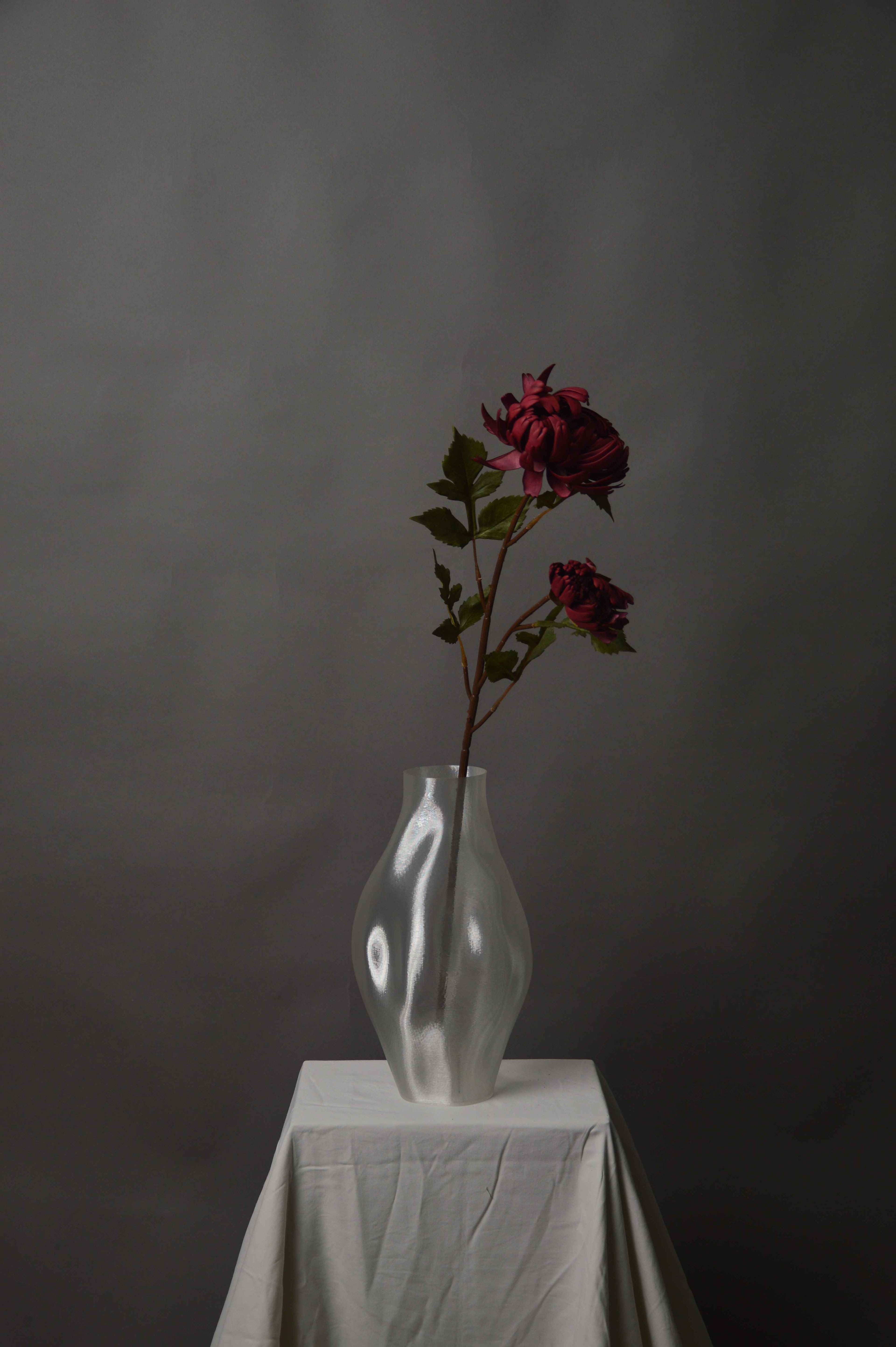 Chrysanthemum