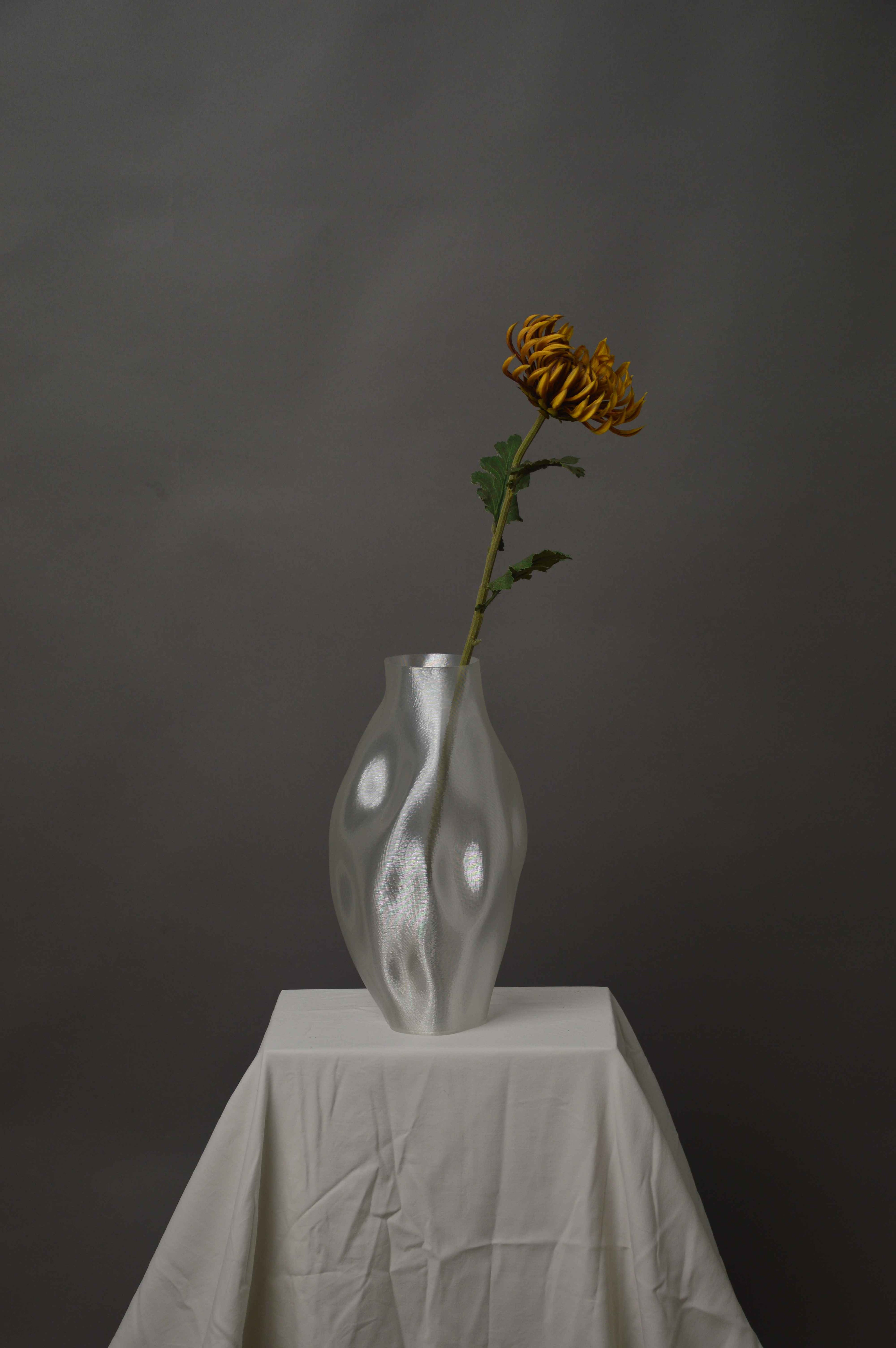 Chrysanthemum