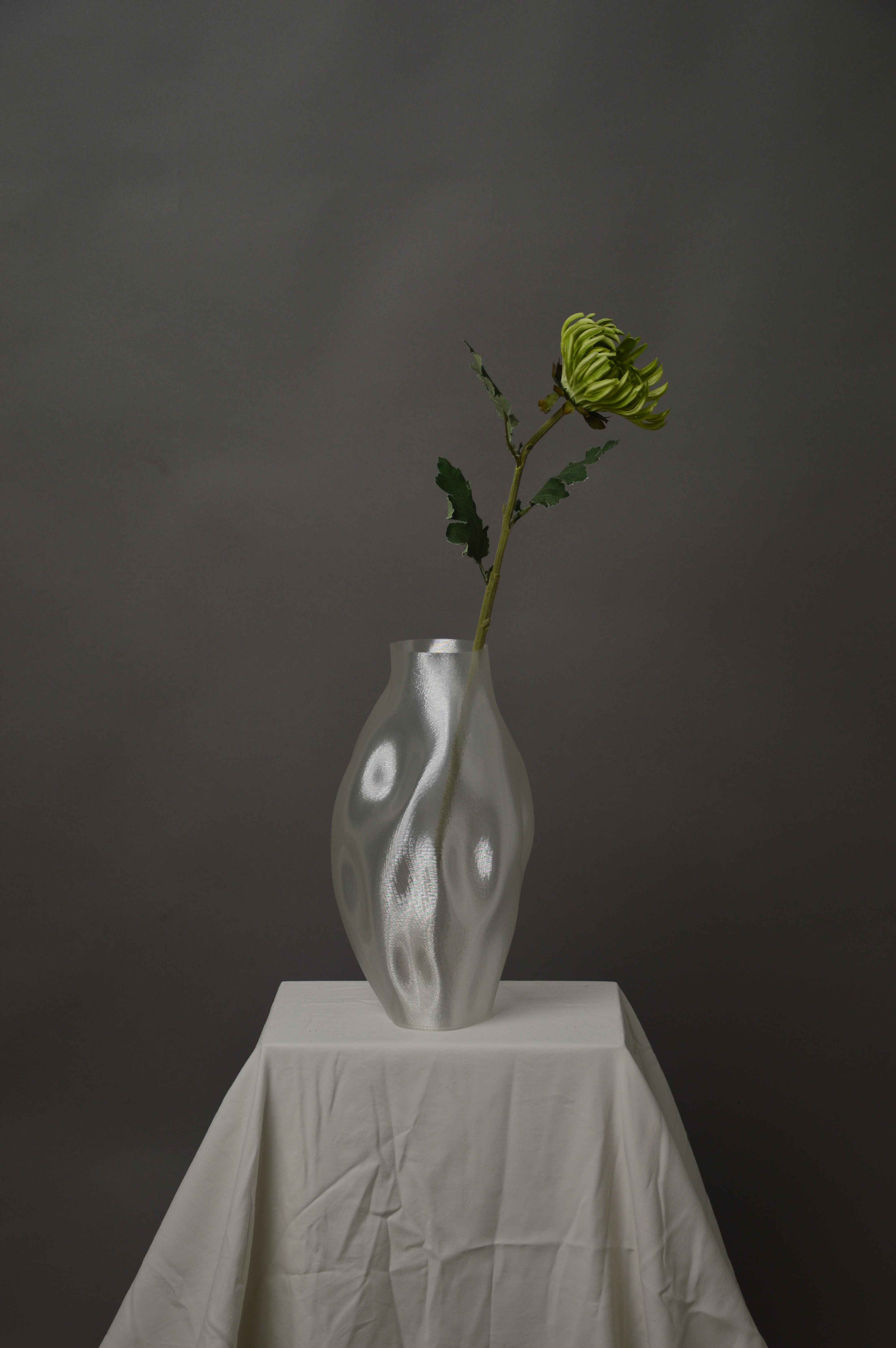 Chrysanthemum