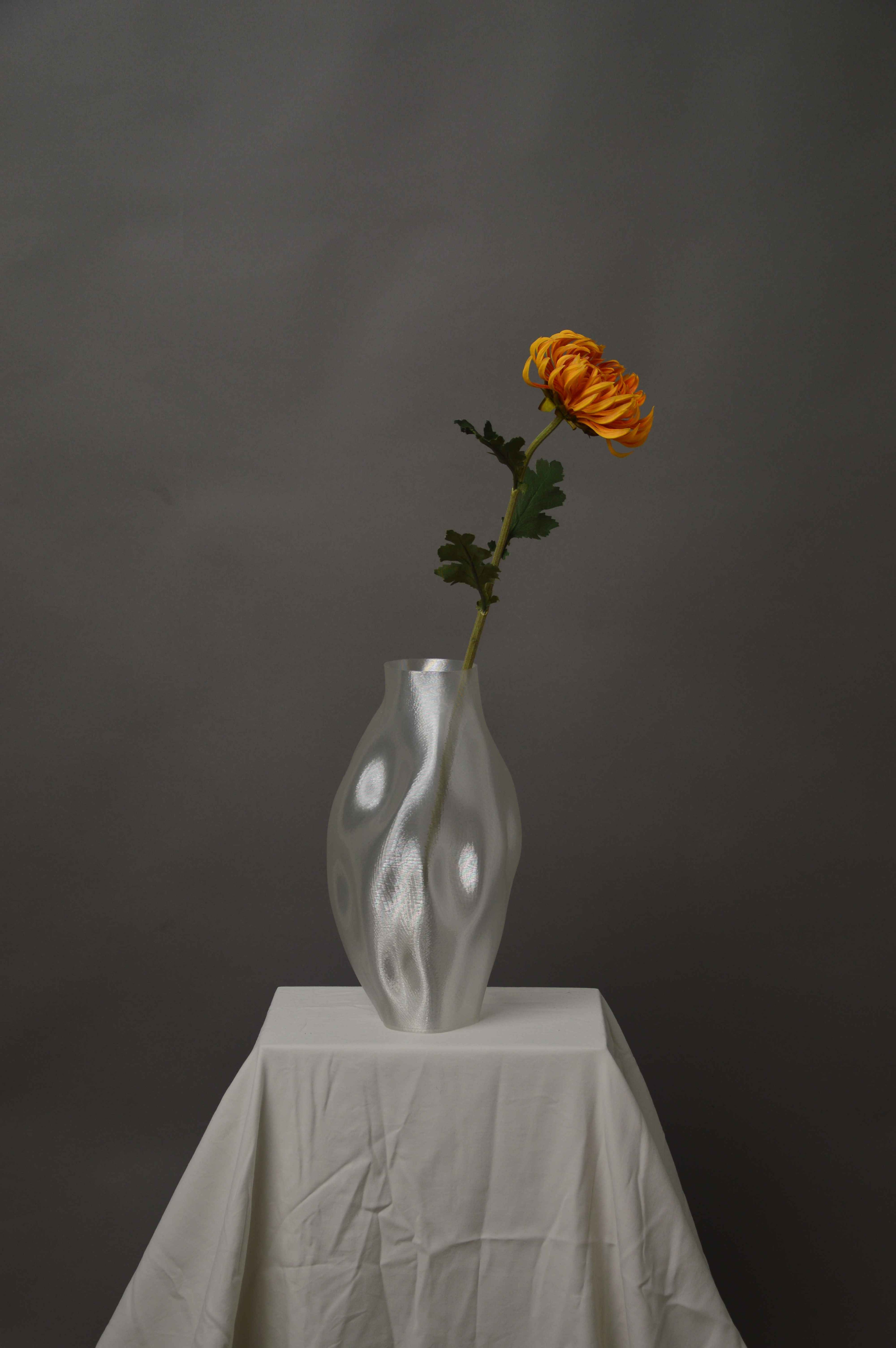 Chrysanthemum