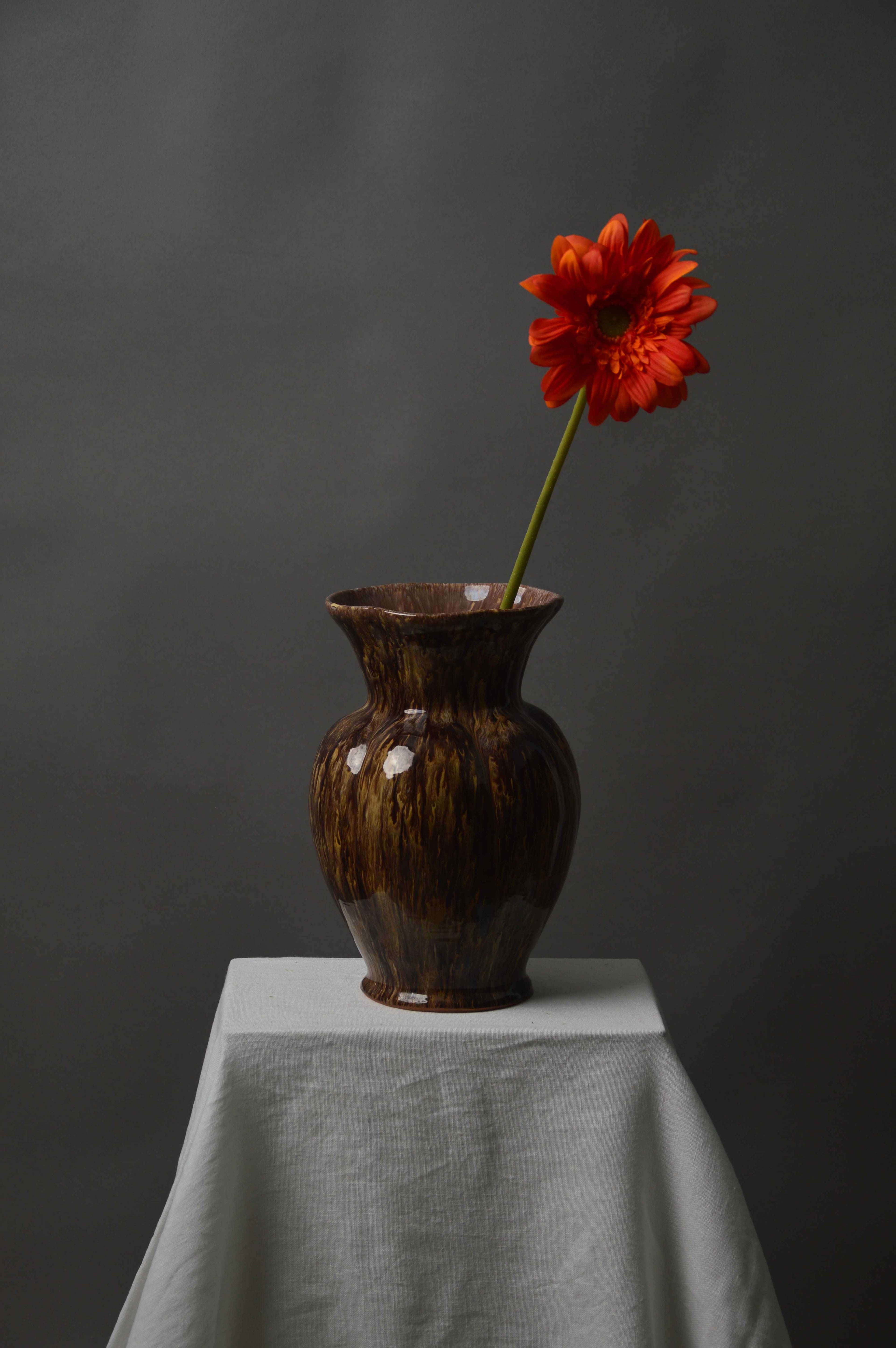 Gerbera