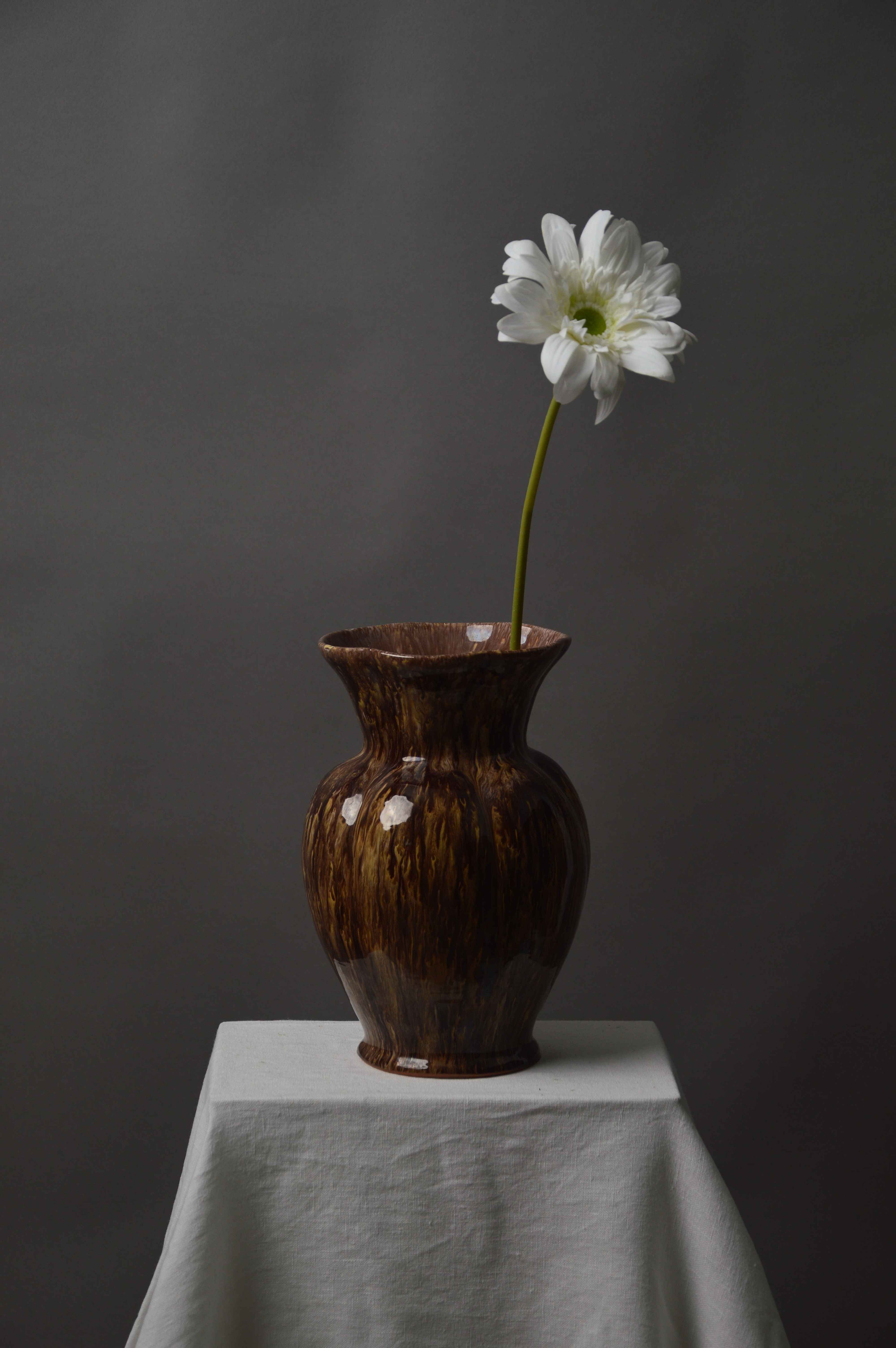 Gerbera