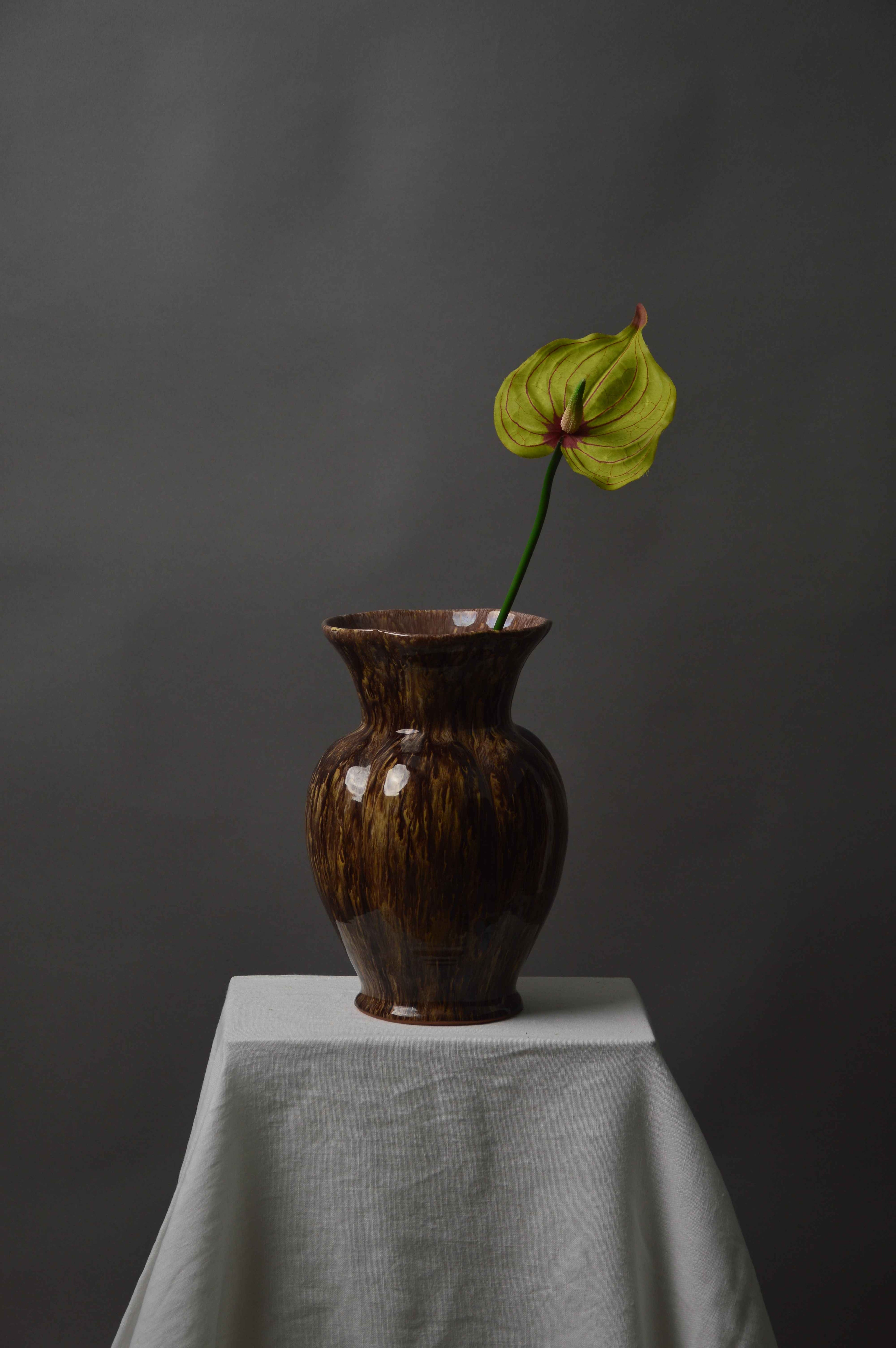 Anthurium