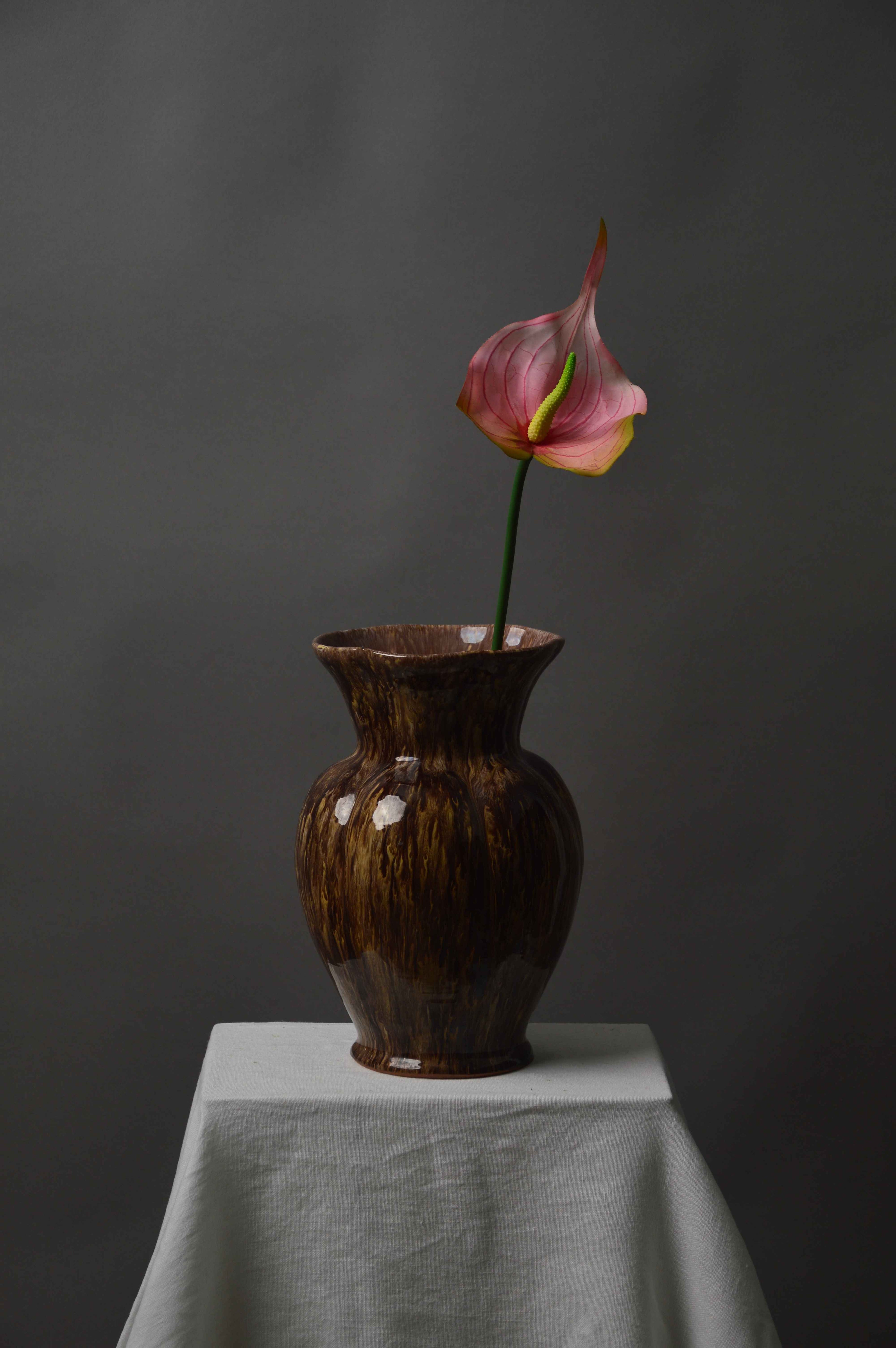 Anthurium