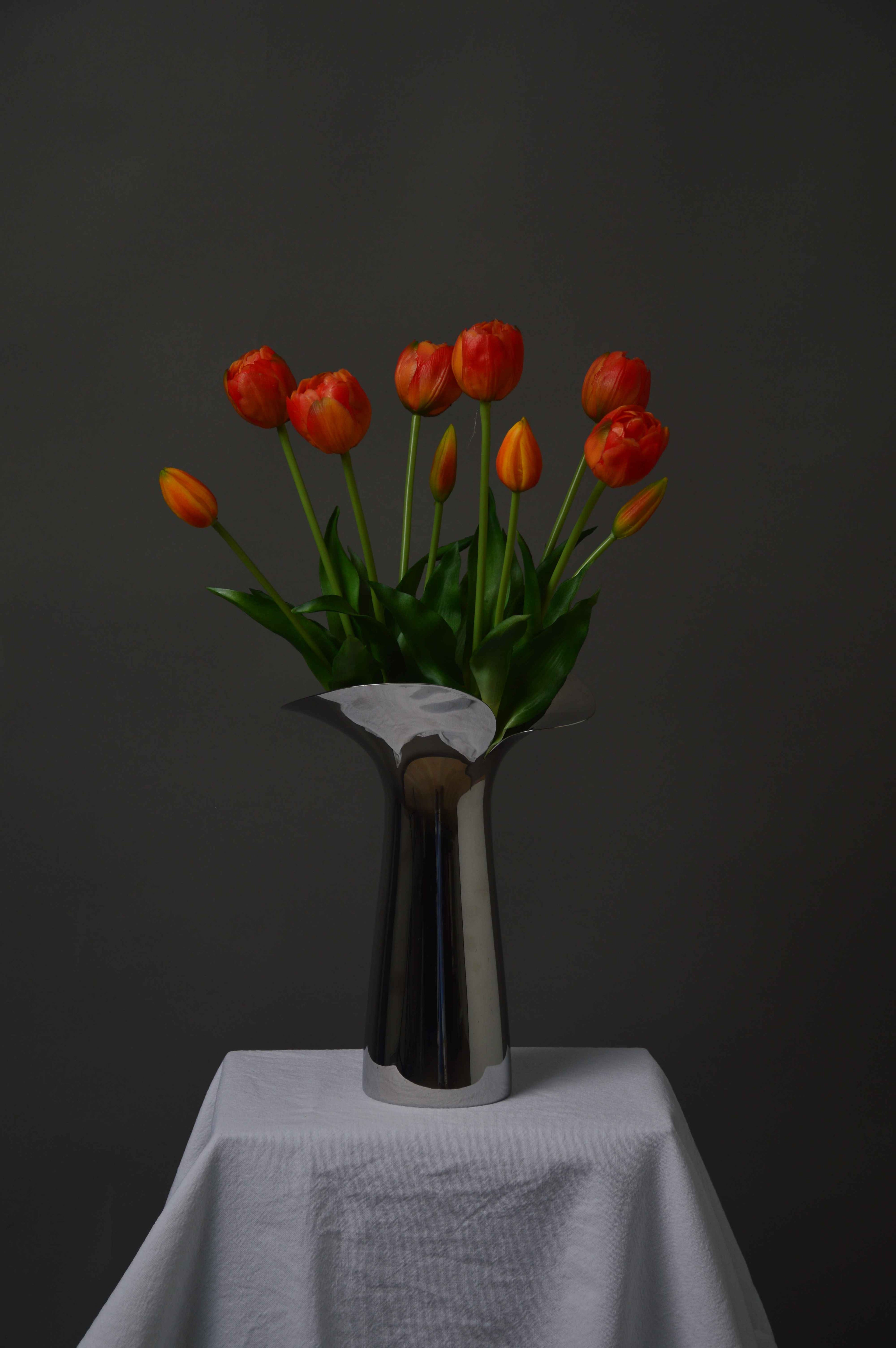 Dobbelthovedet tulipaner