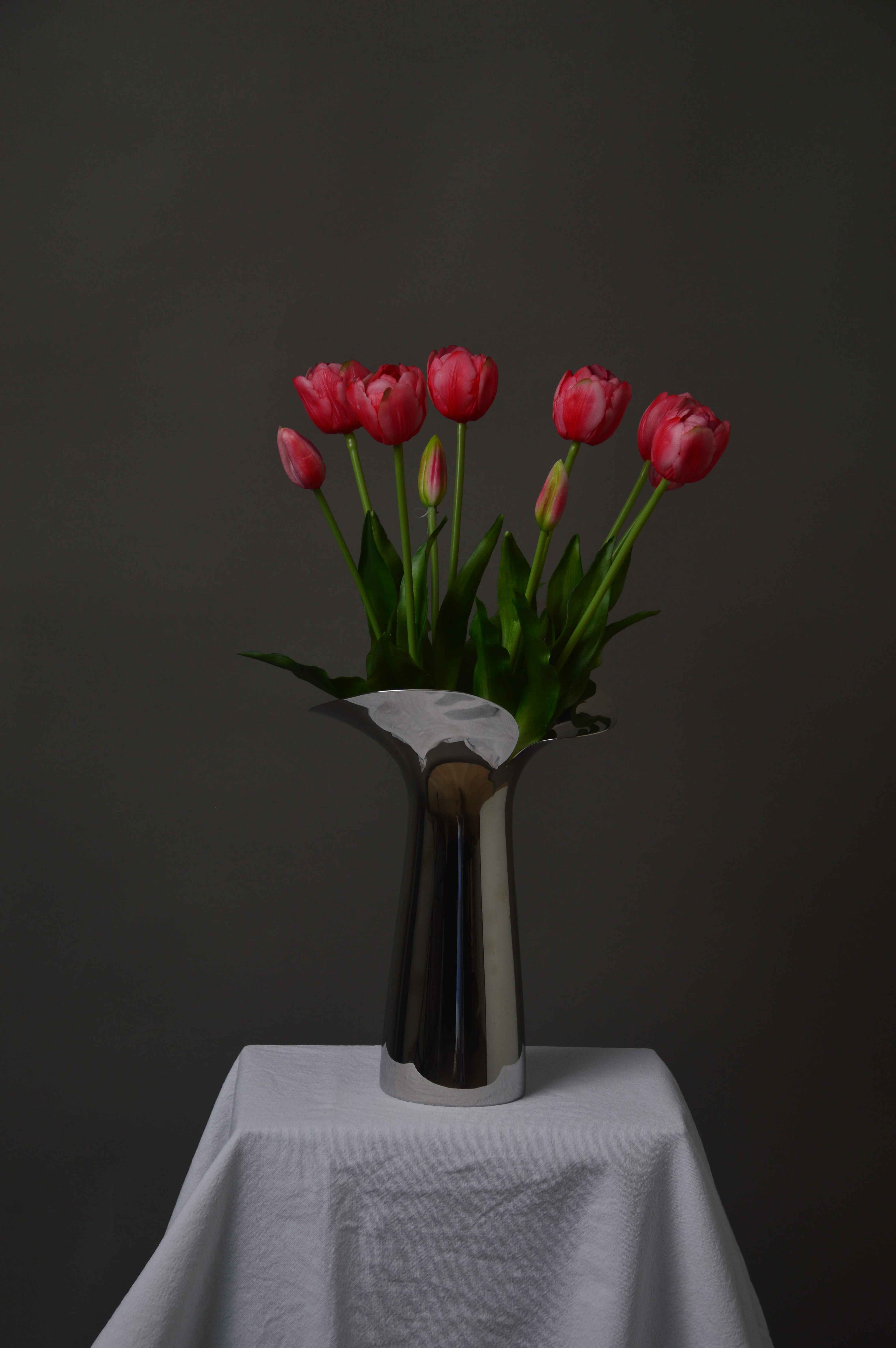 Dobbelthovedet tulipaner