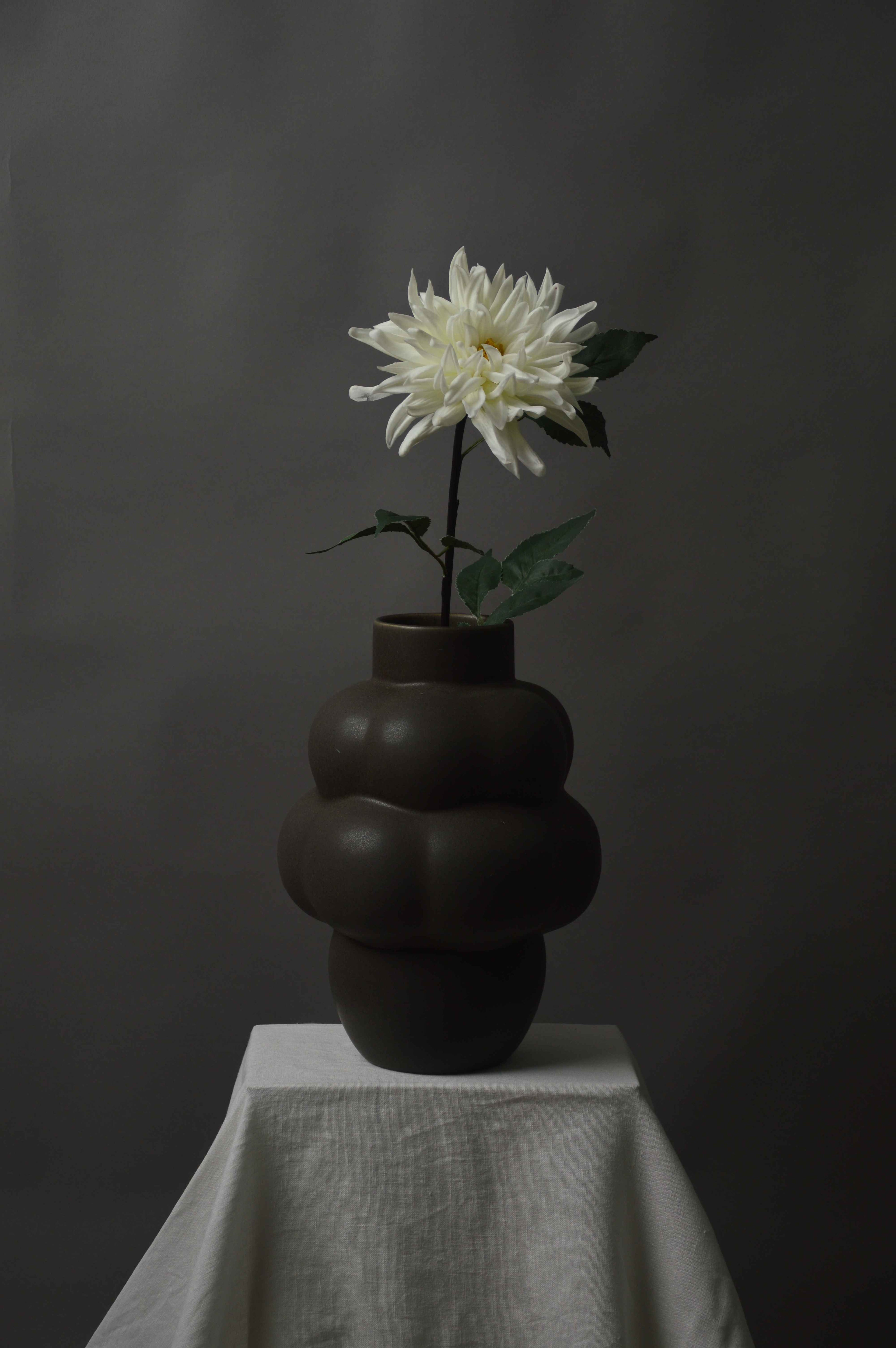 Dahlia