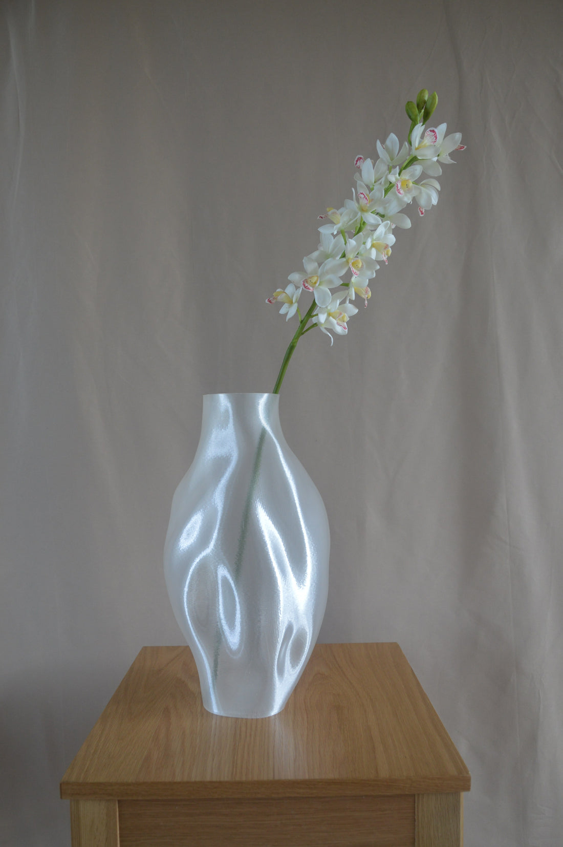 Cymbidium orkidé