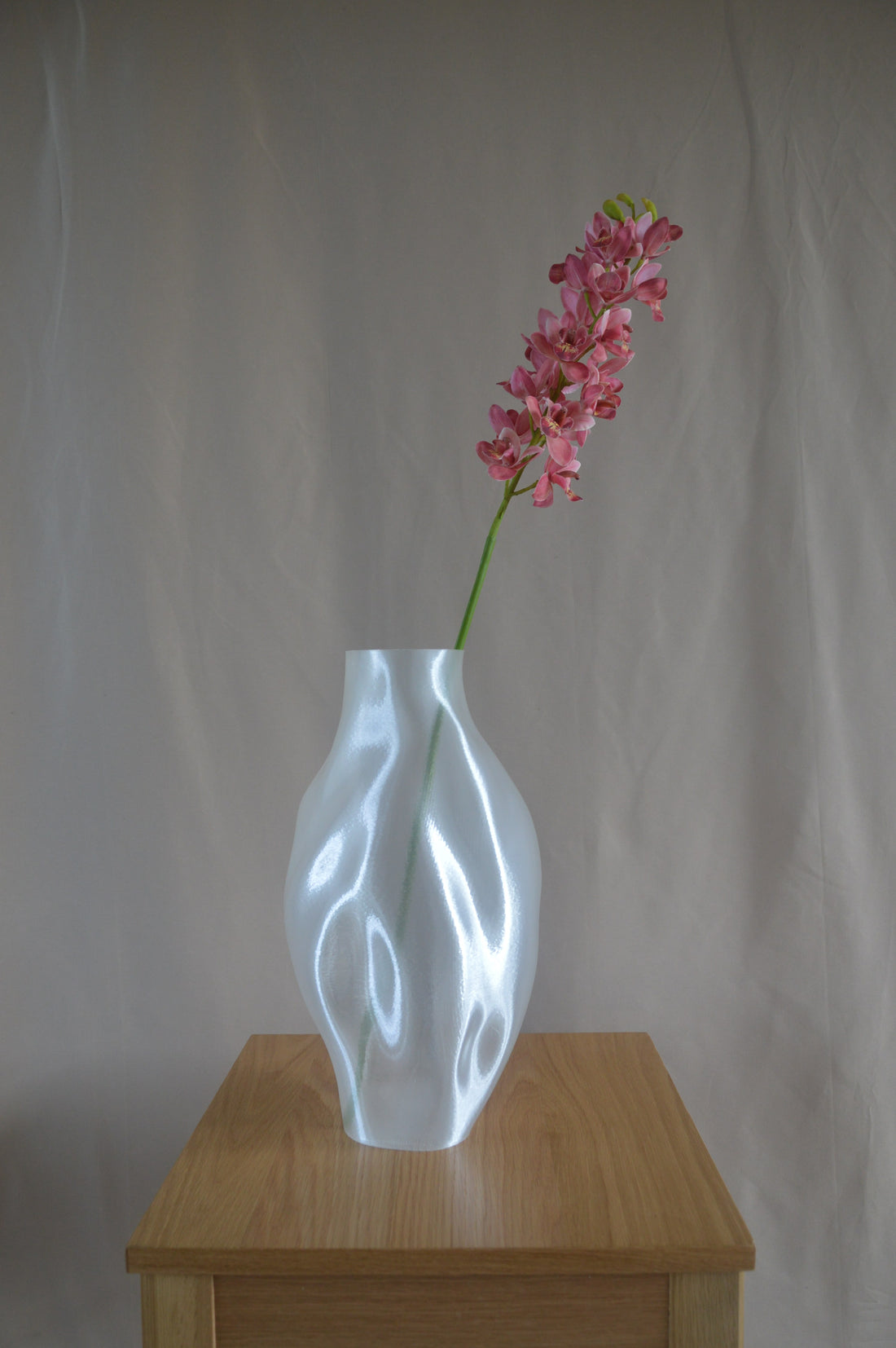 Cymbidium orkidé