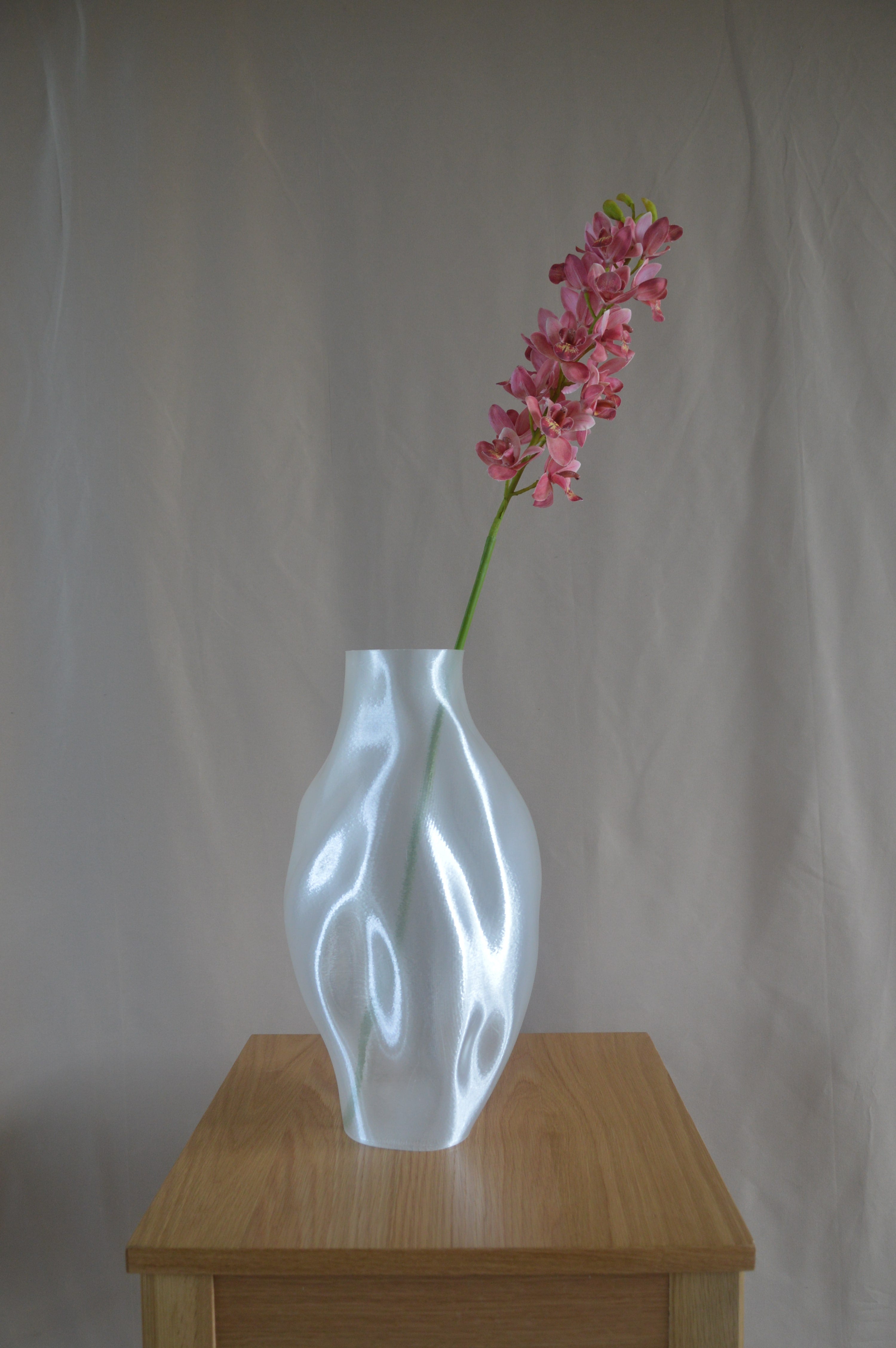 Cymbidium orkidé