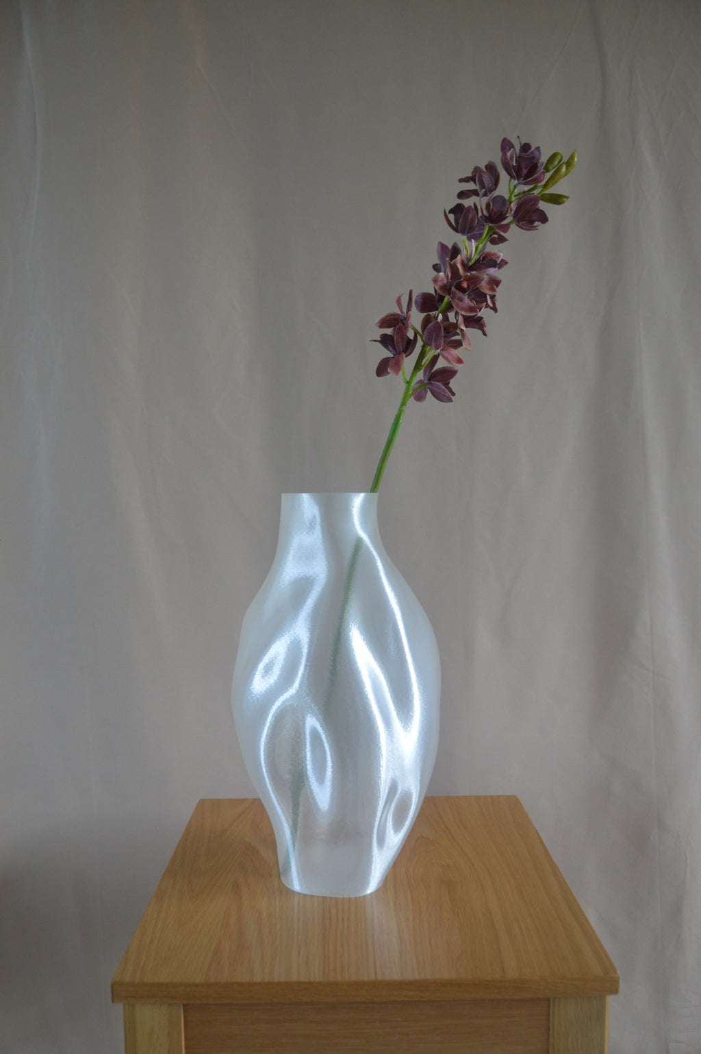 Cymbidium orkidé