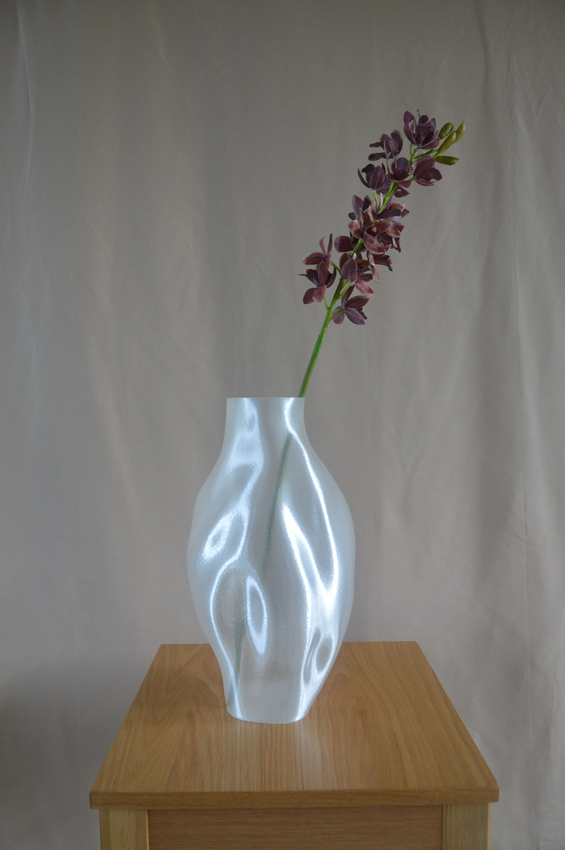 Cymbidium orkidé