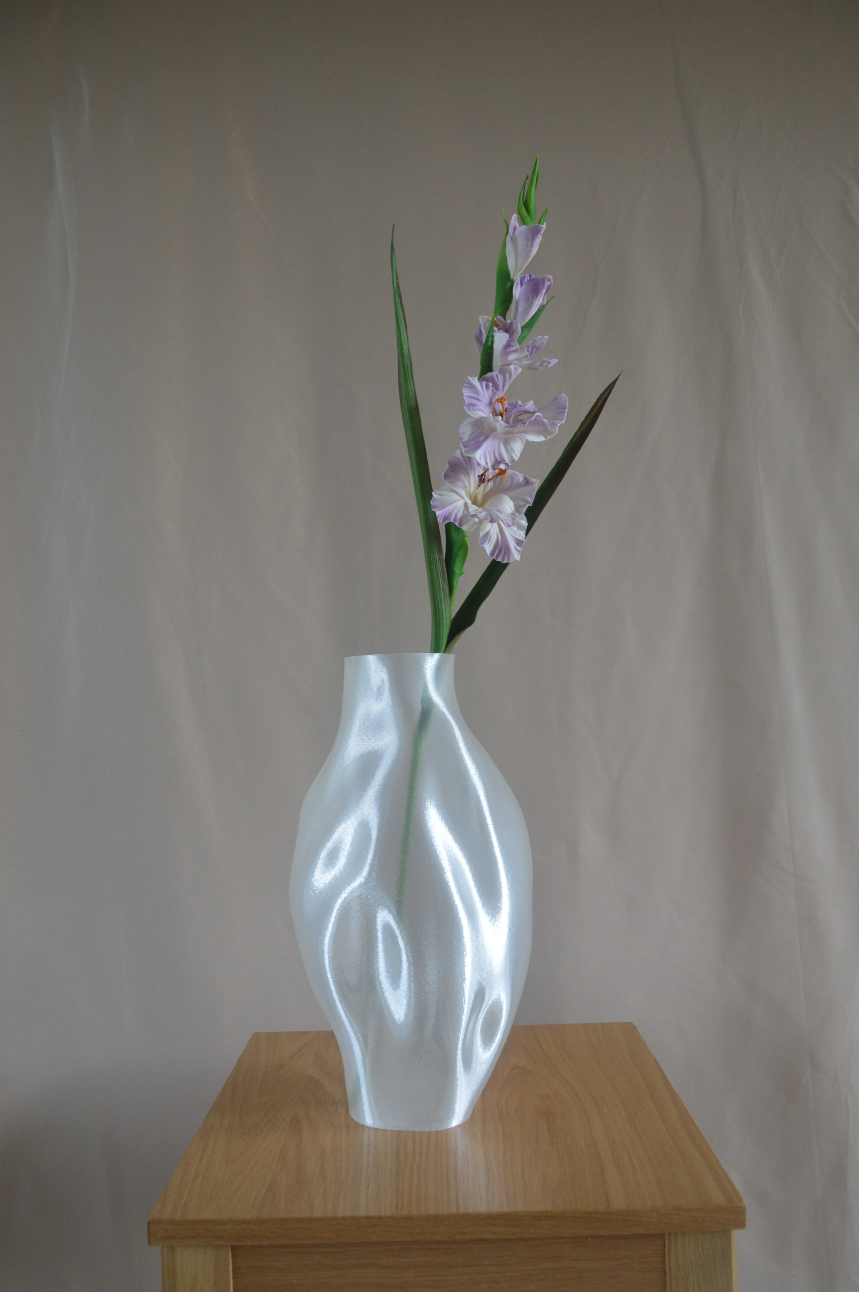 Gladiolus