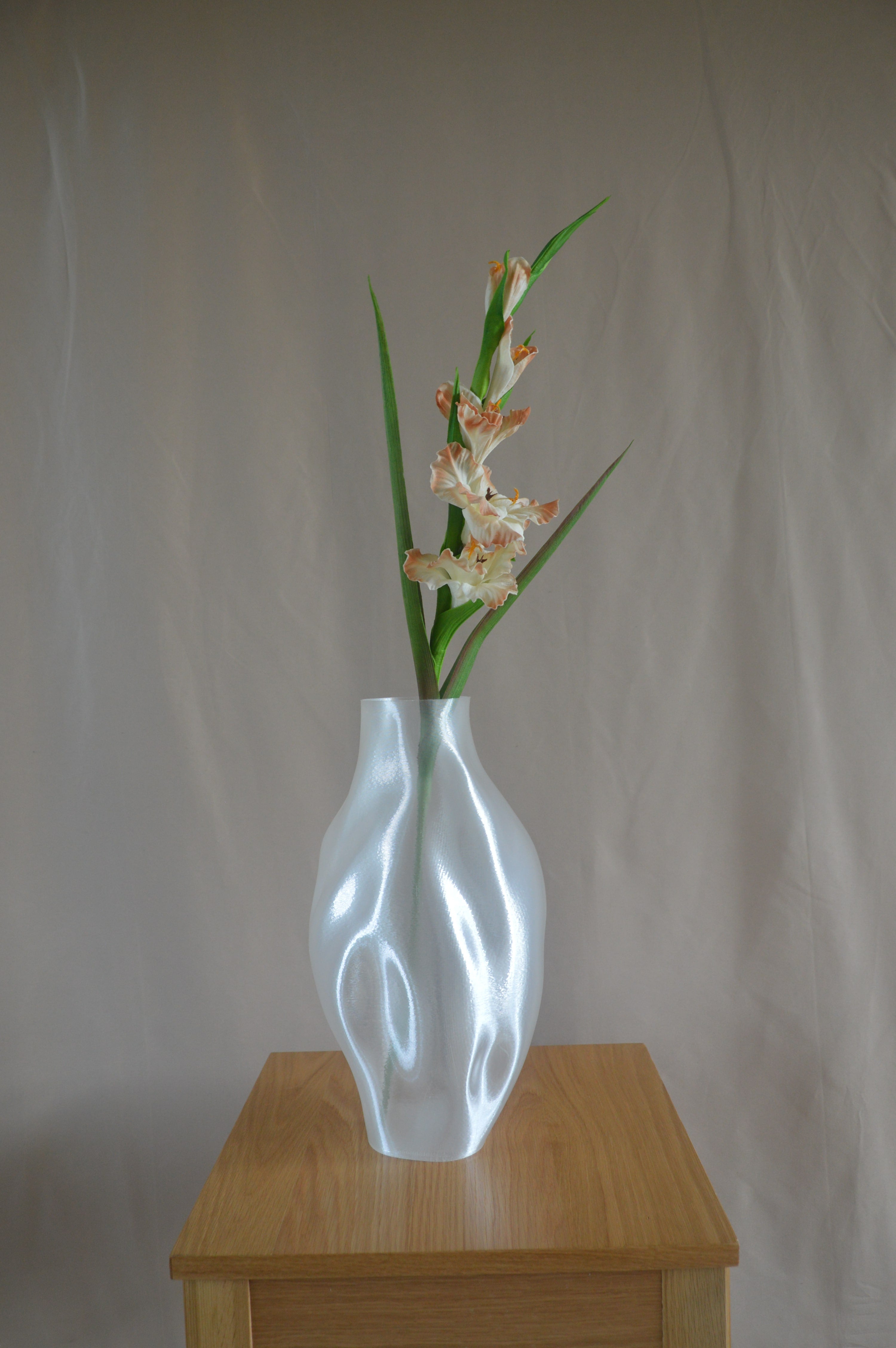 Gladiolus