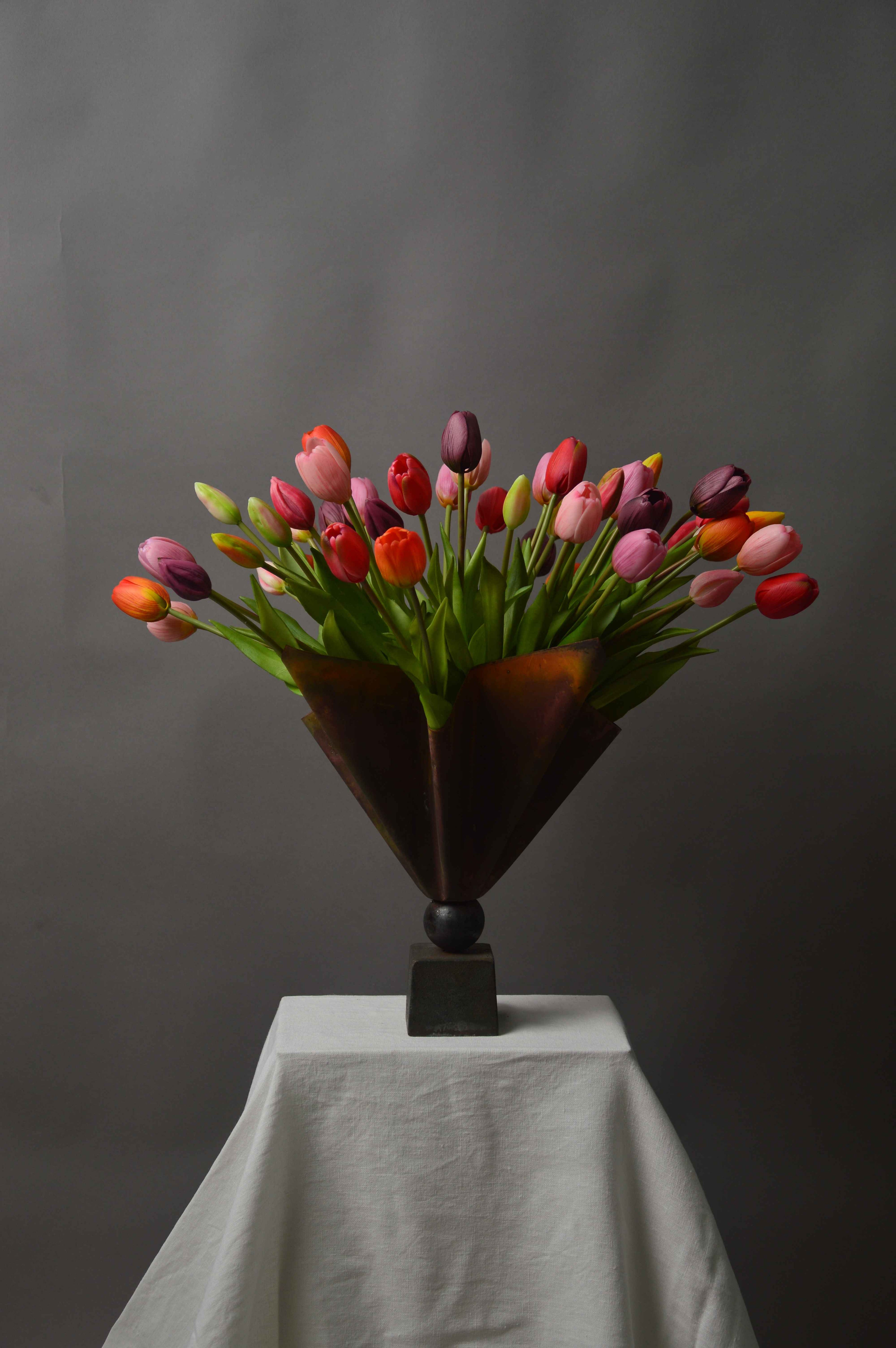 Multi Tulipaner