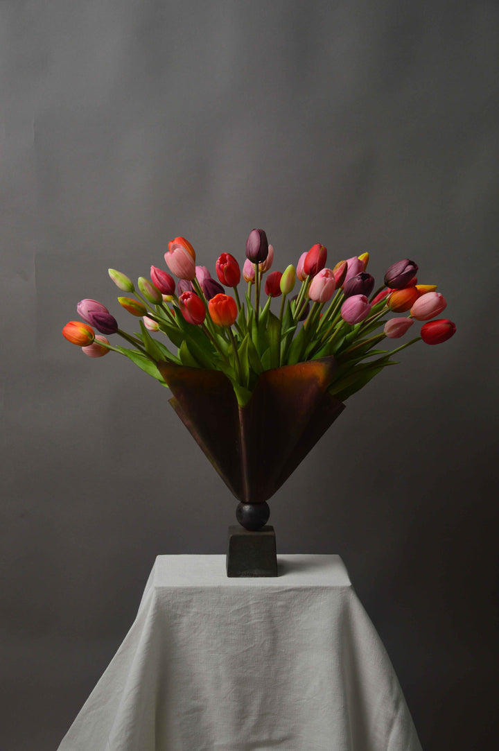 Multi Tulipaner