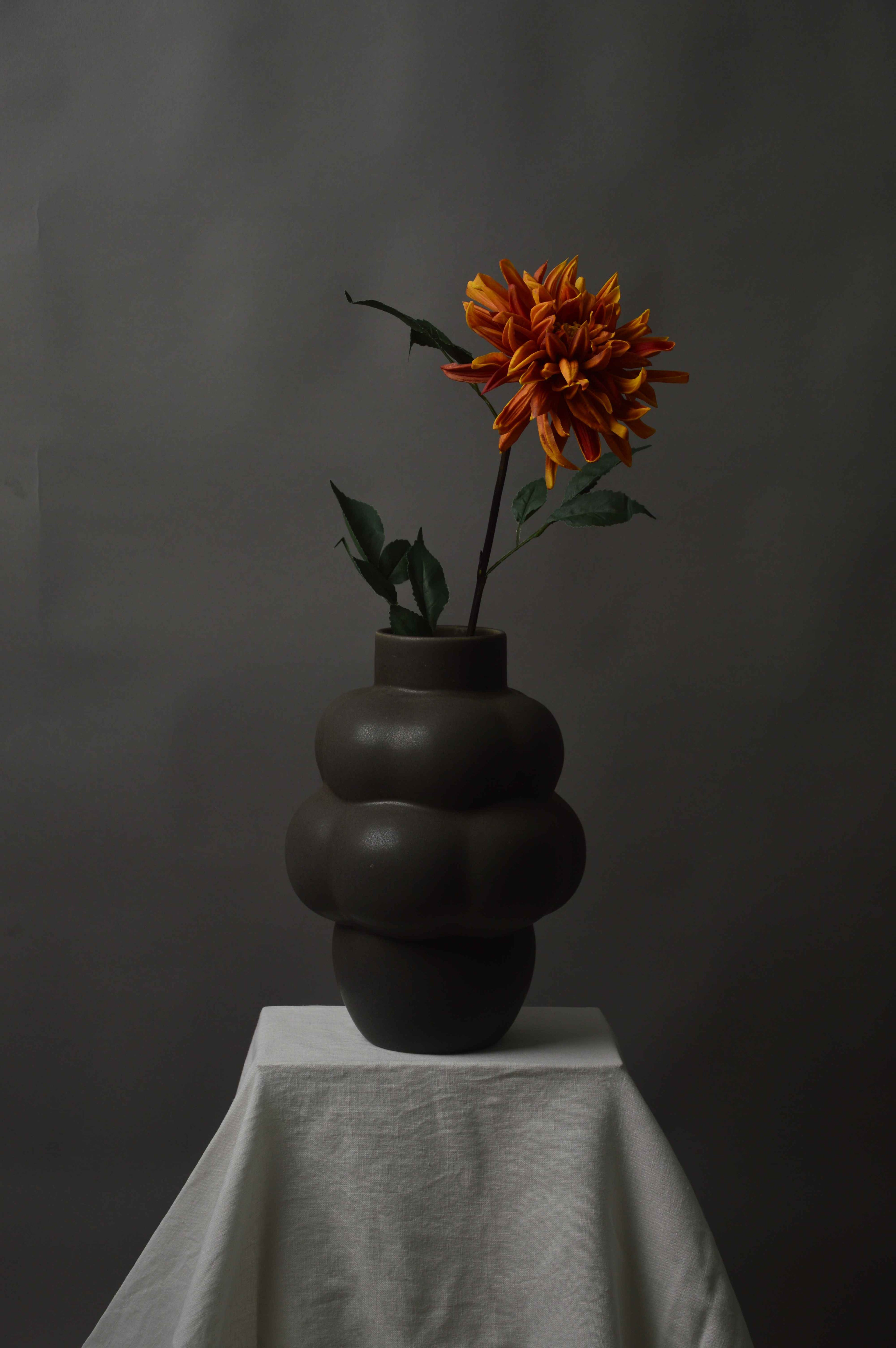 Dahlia
