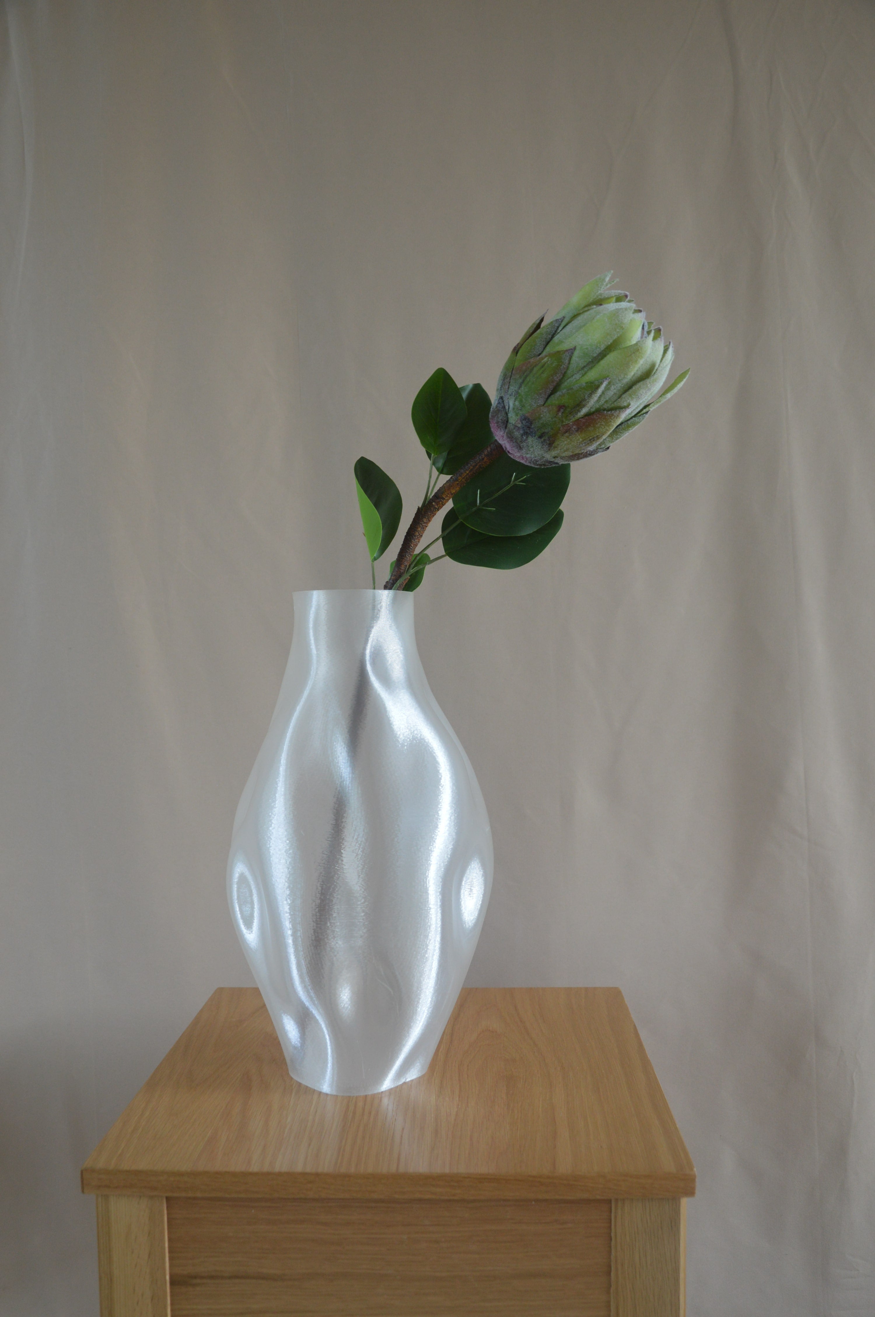 Protea