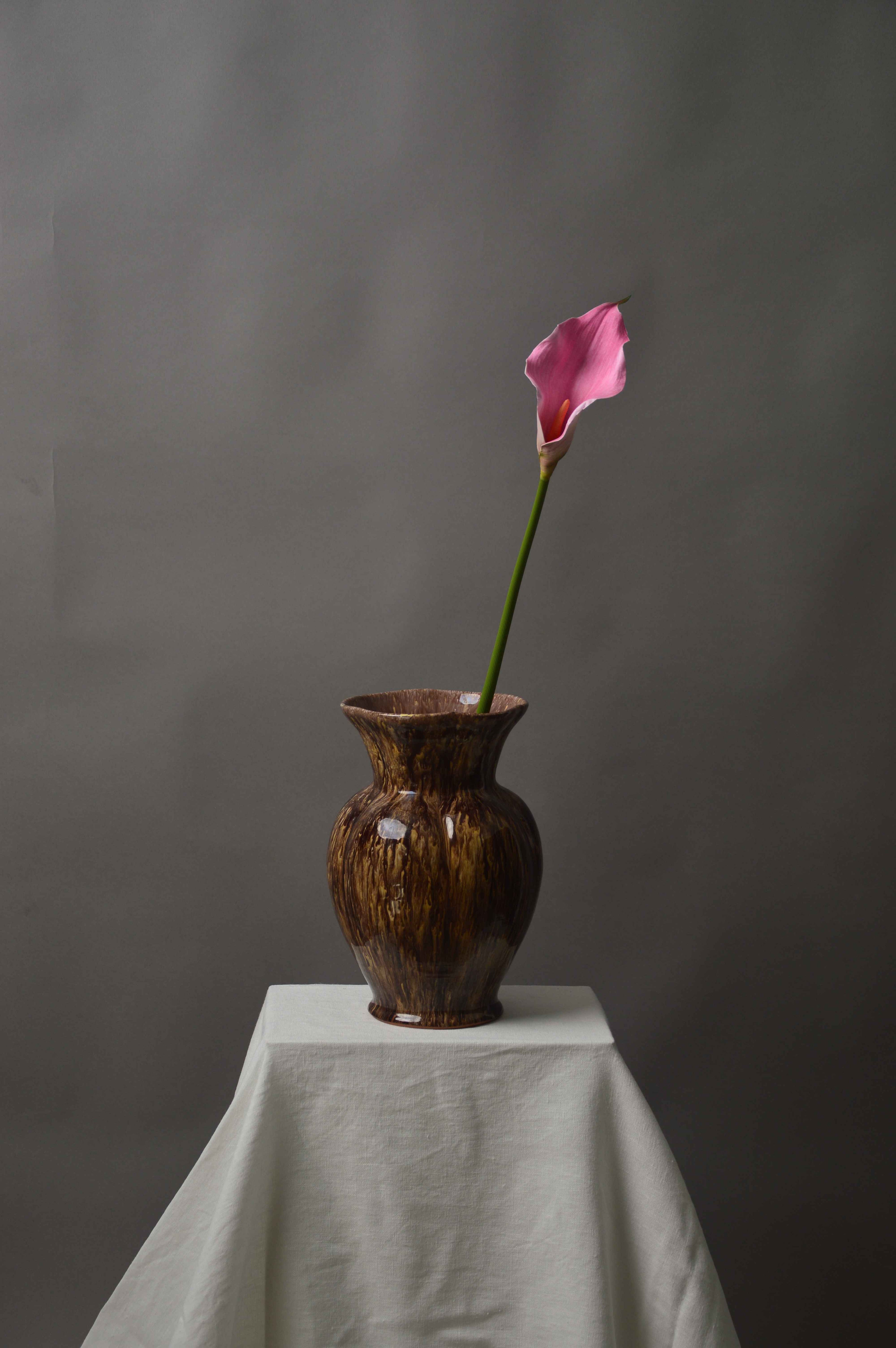 Calla lilje