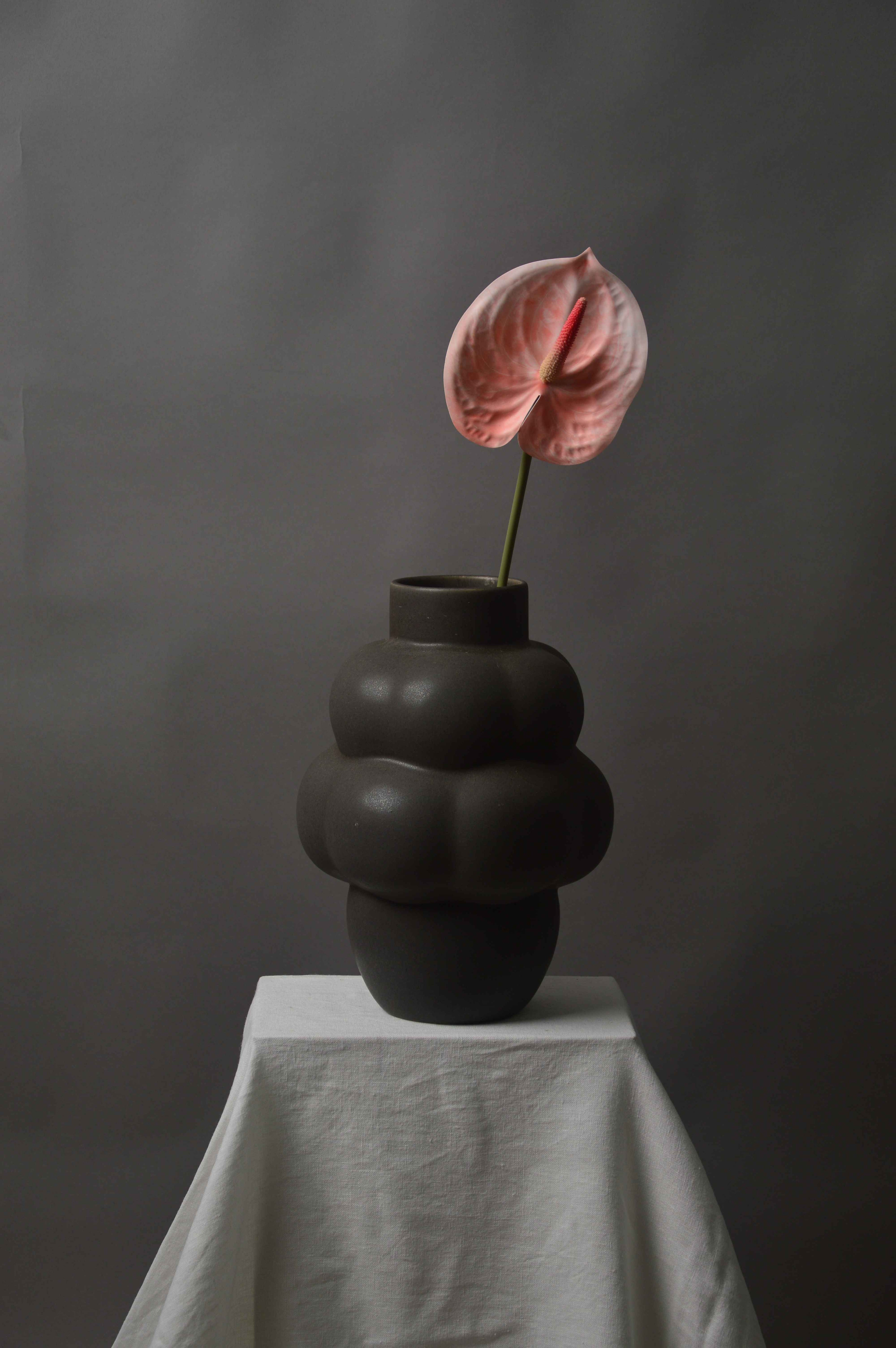 Anthurium