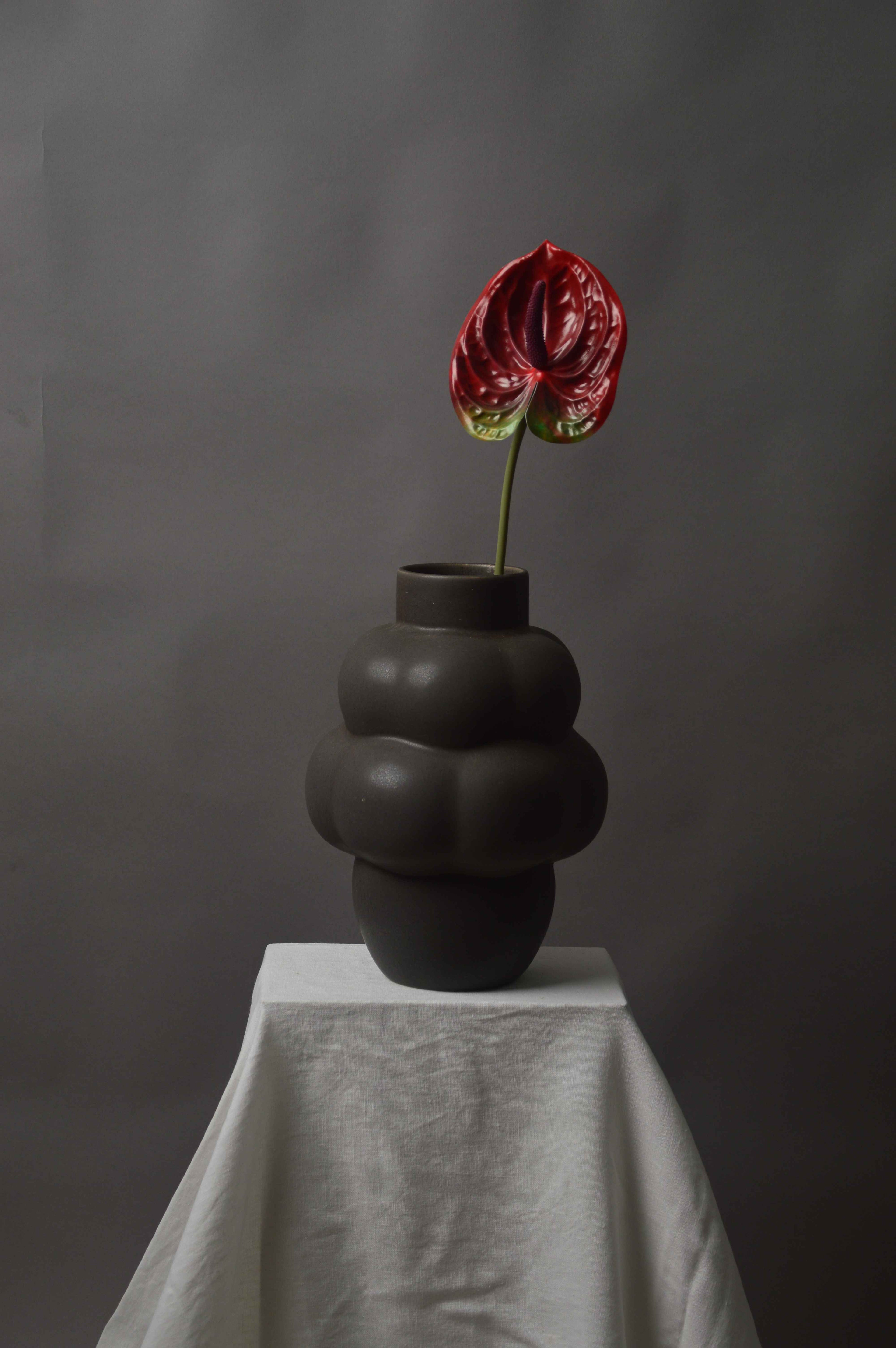 Anthurium