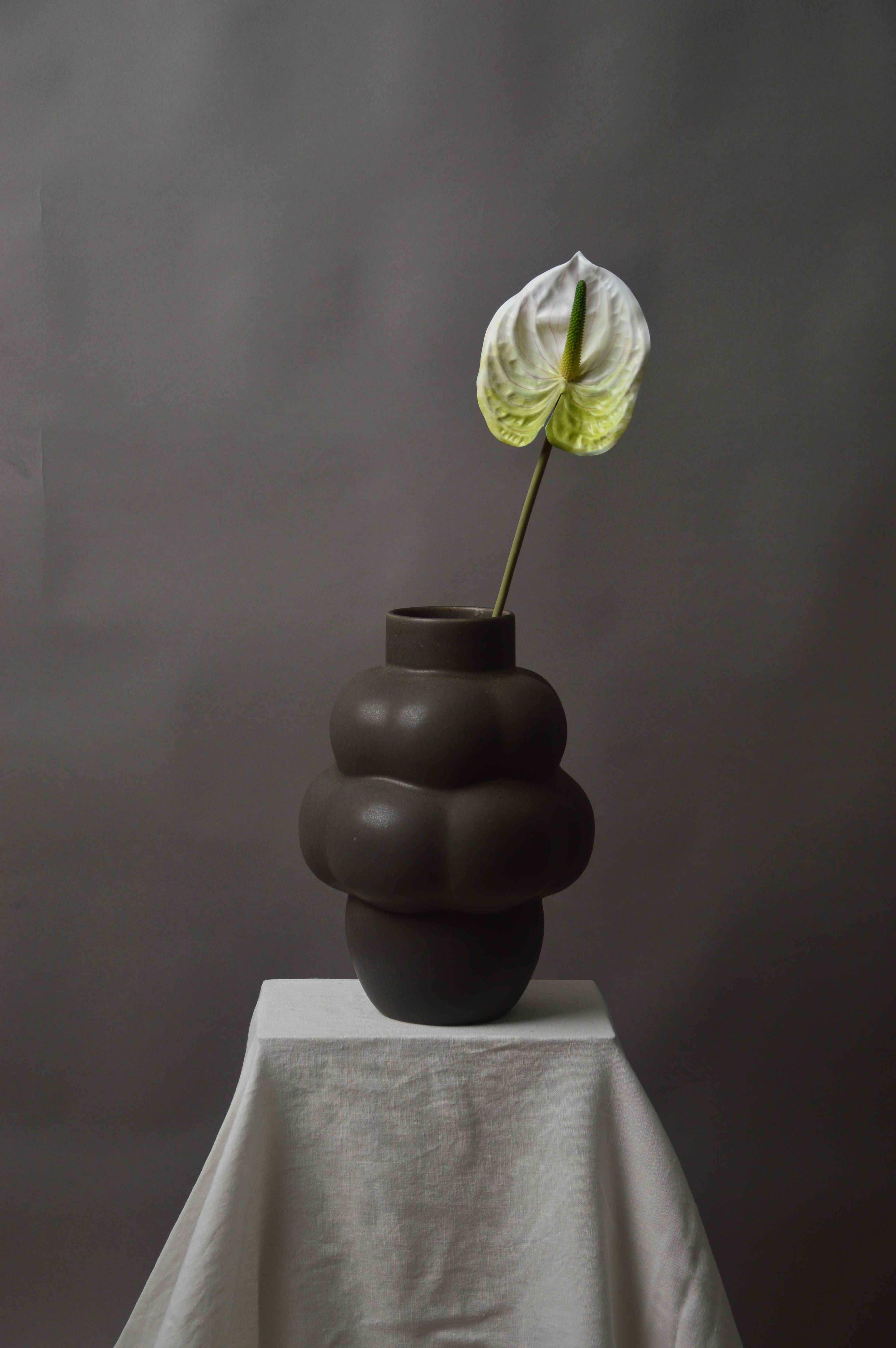 Anthurium