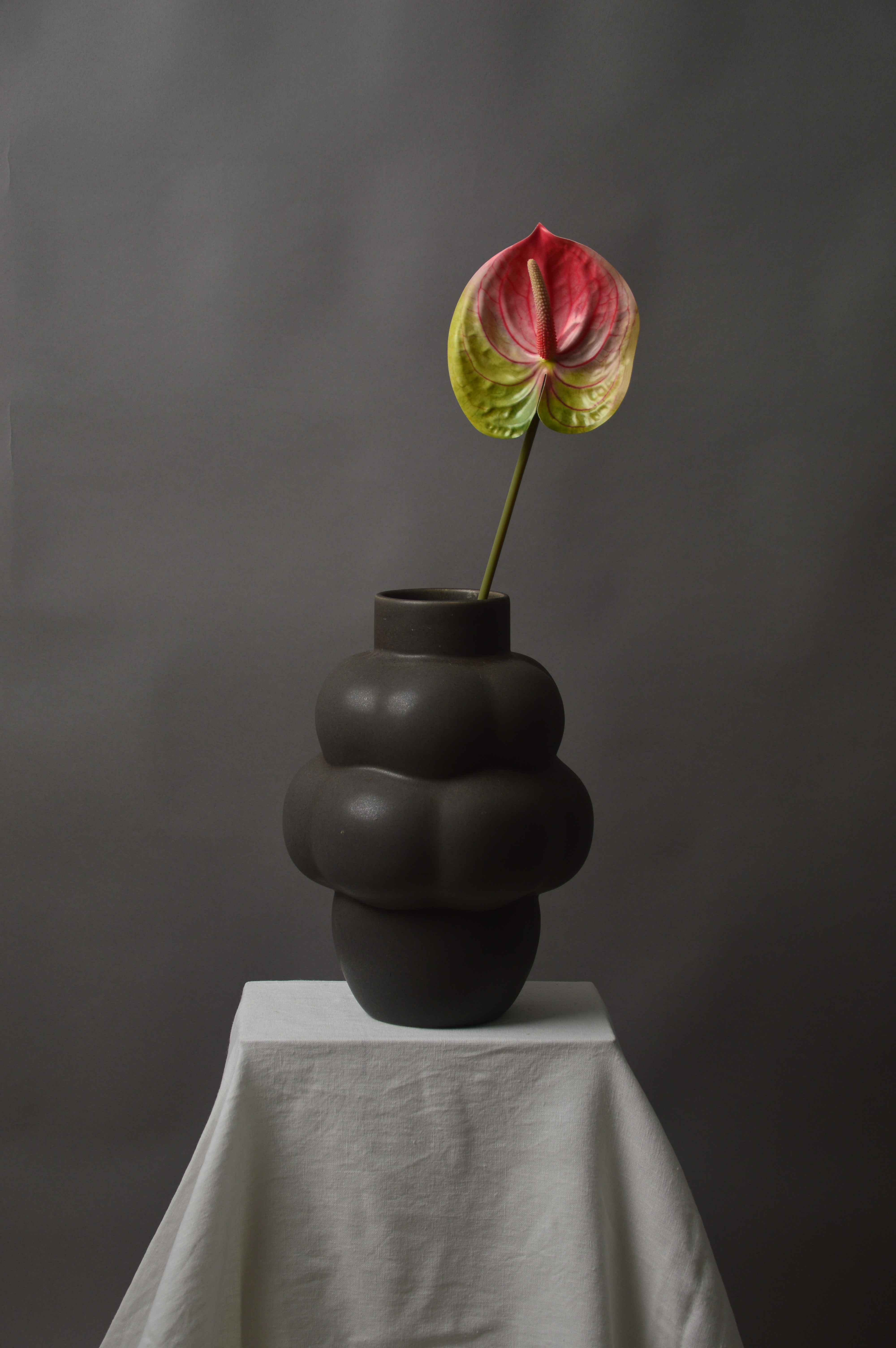 Anthurium