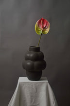 Stor anthurium