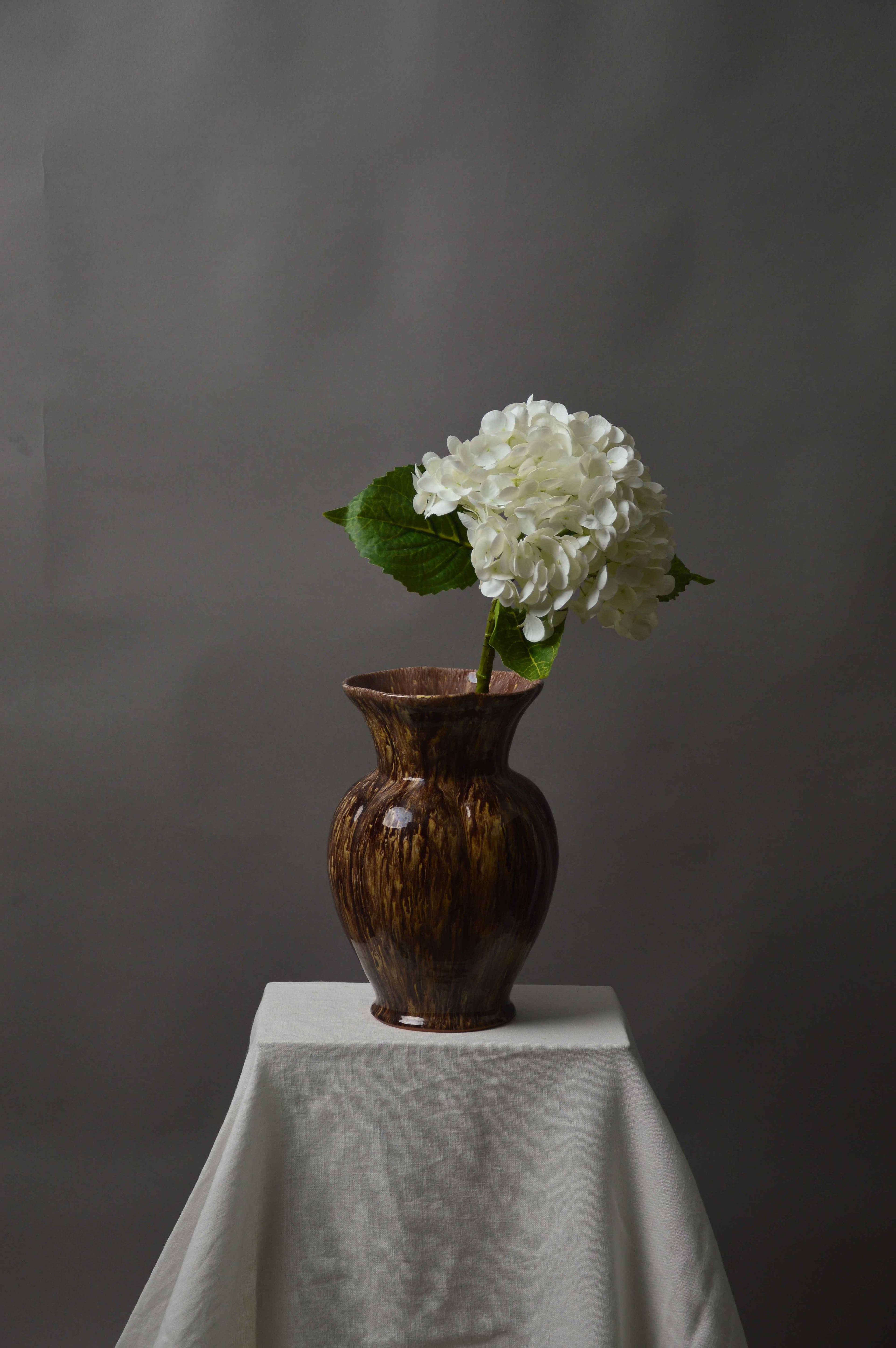 Hortensia