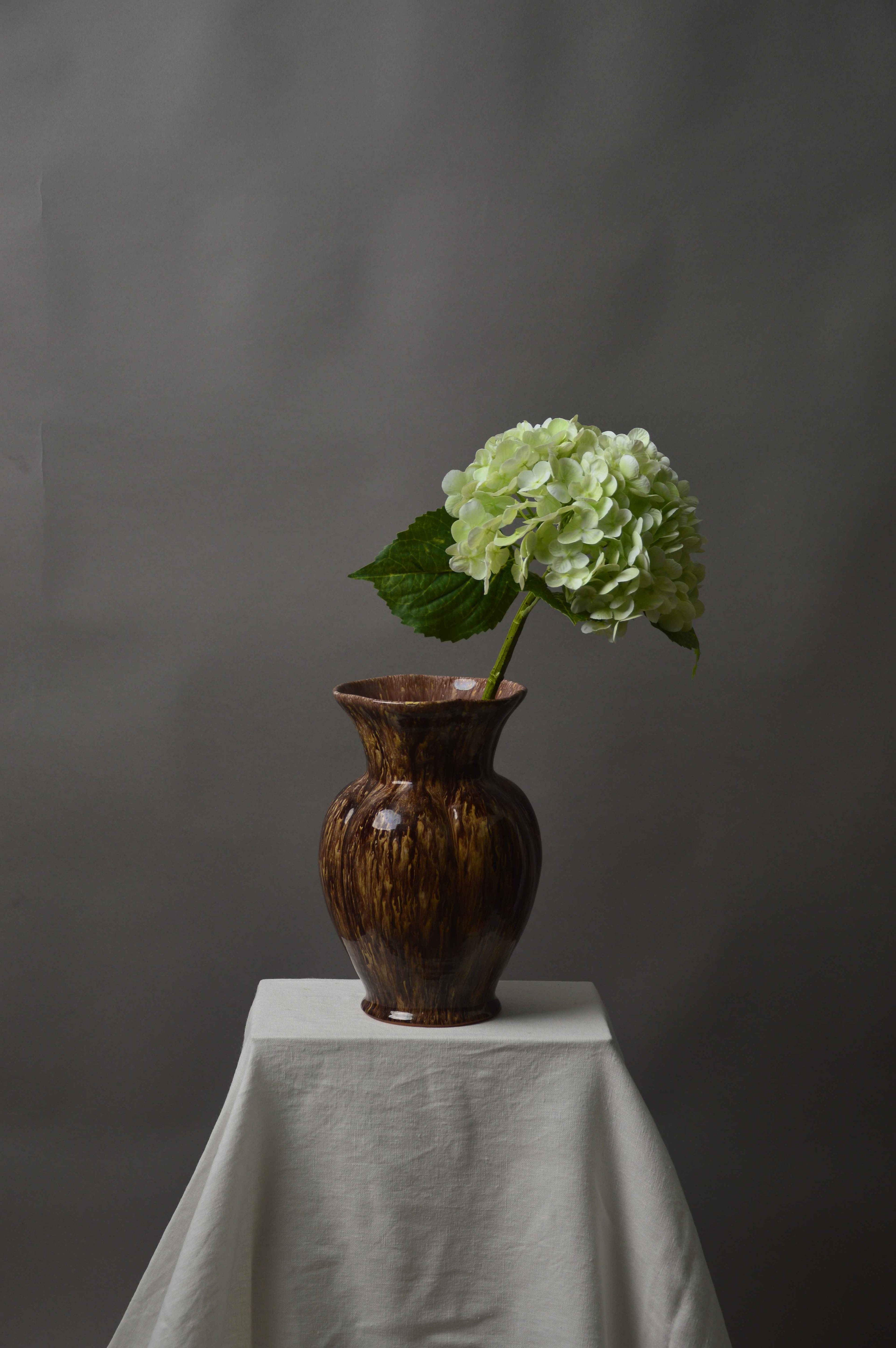 Hortensia