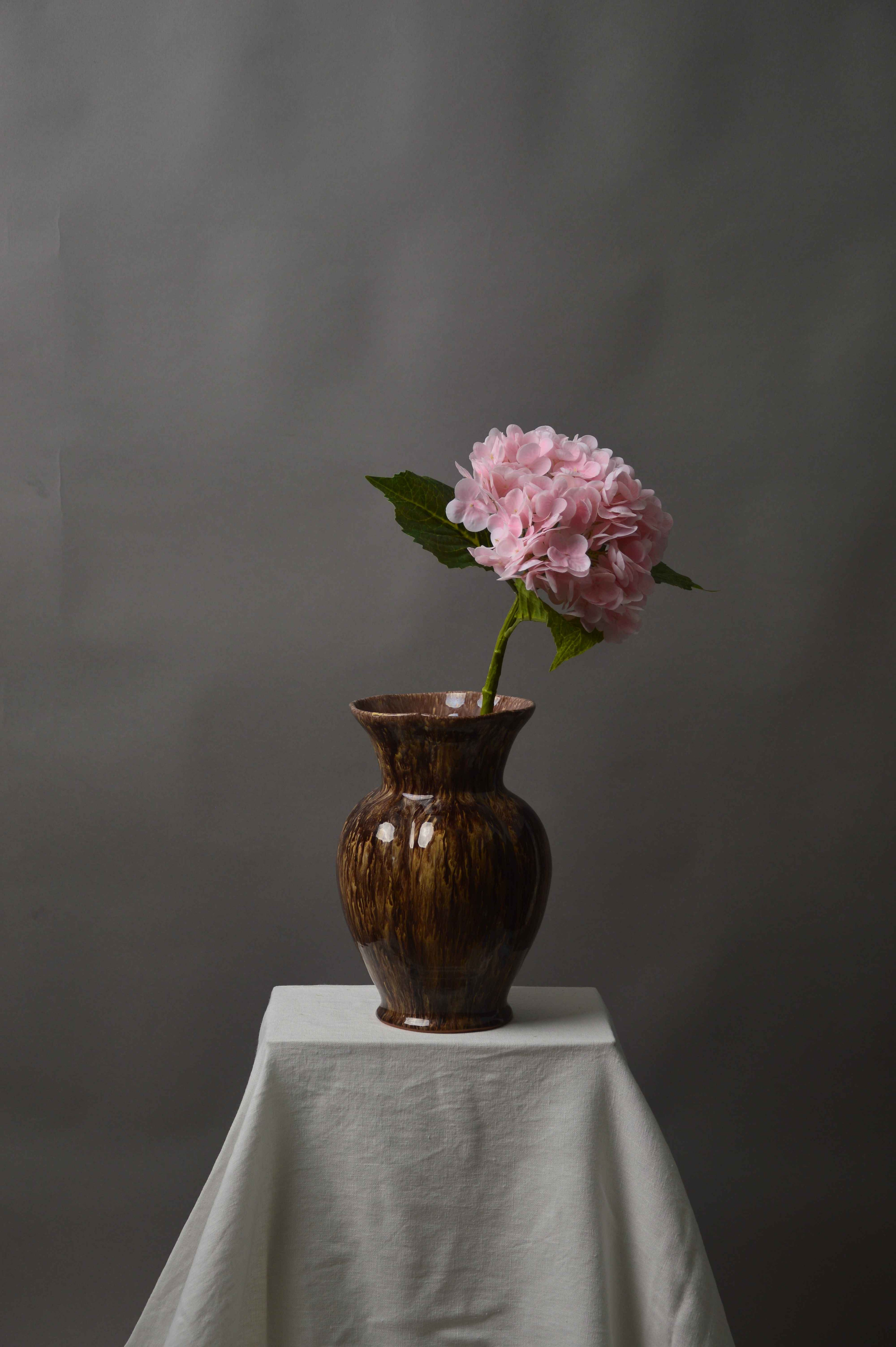 Hortensia