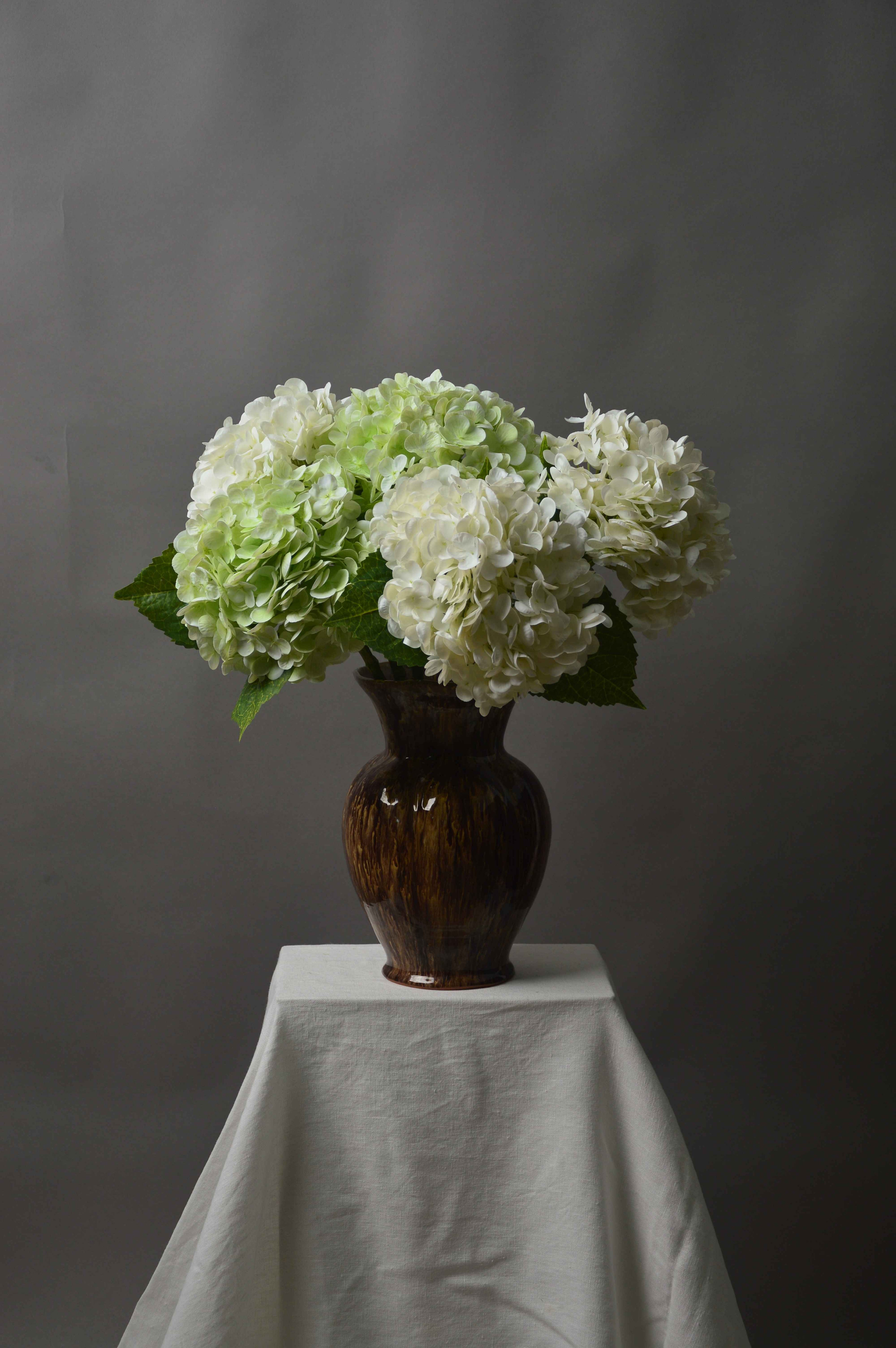 Hortensia