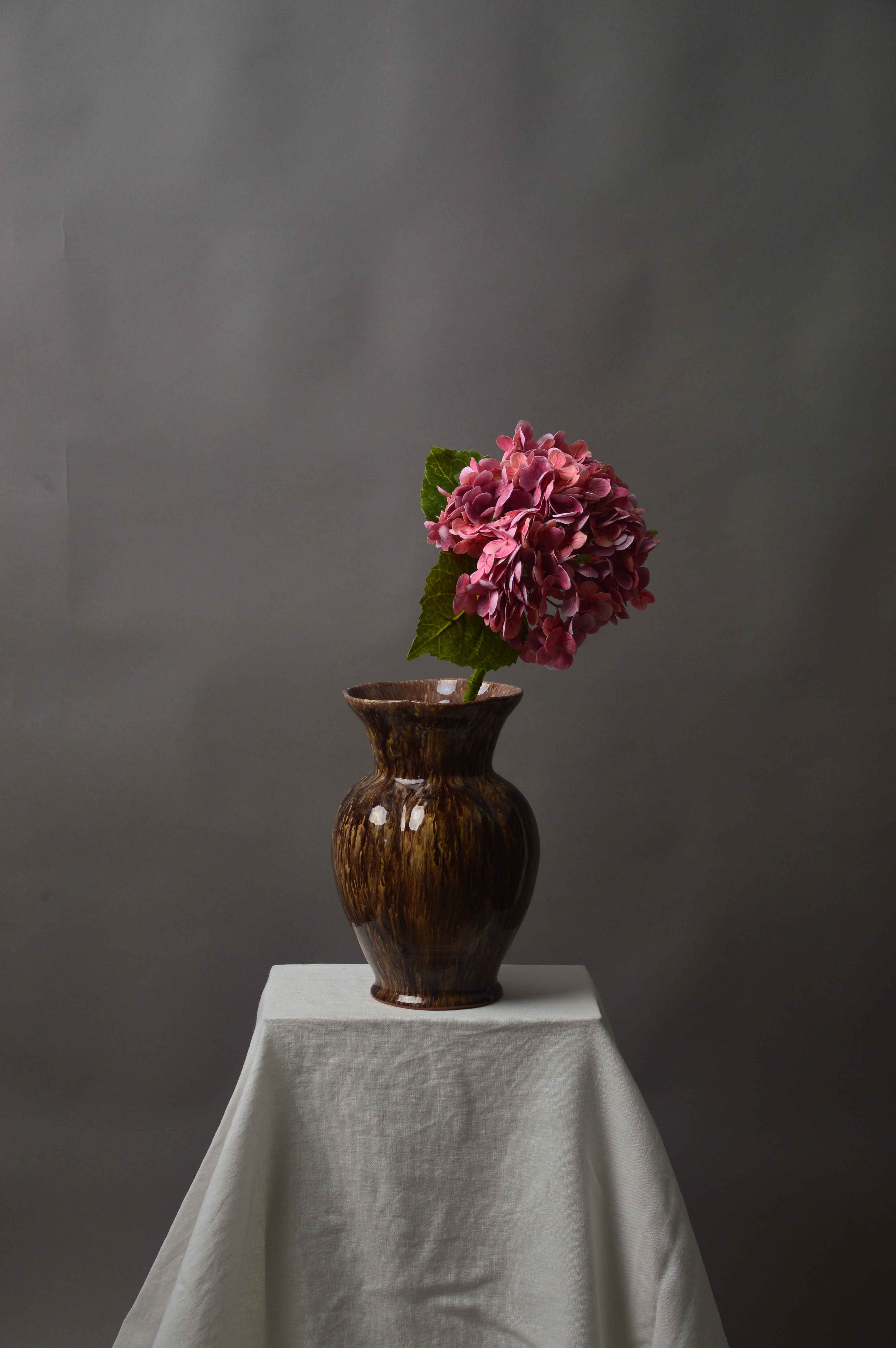 Hortensia