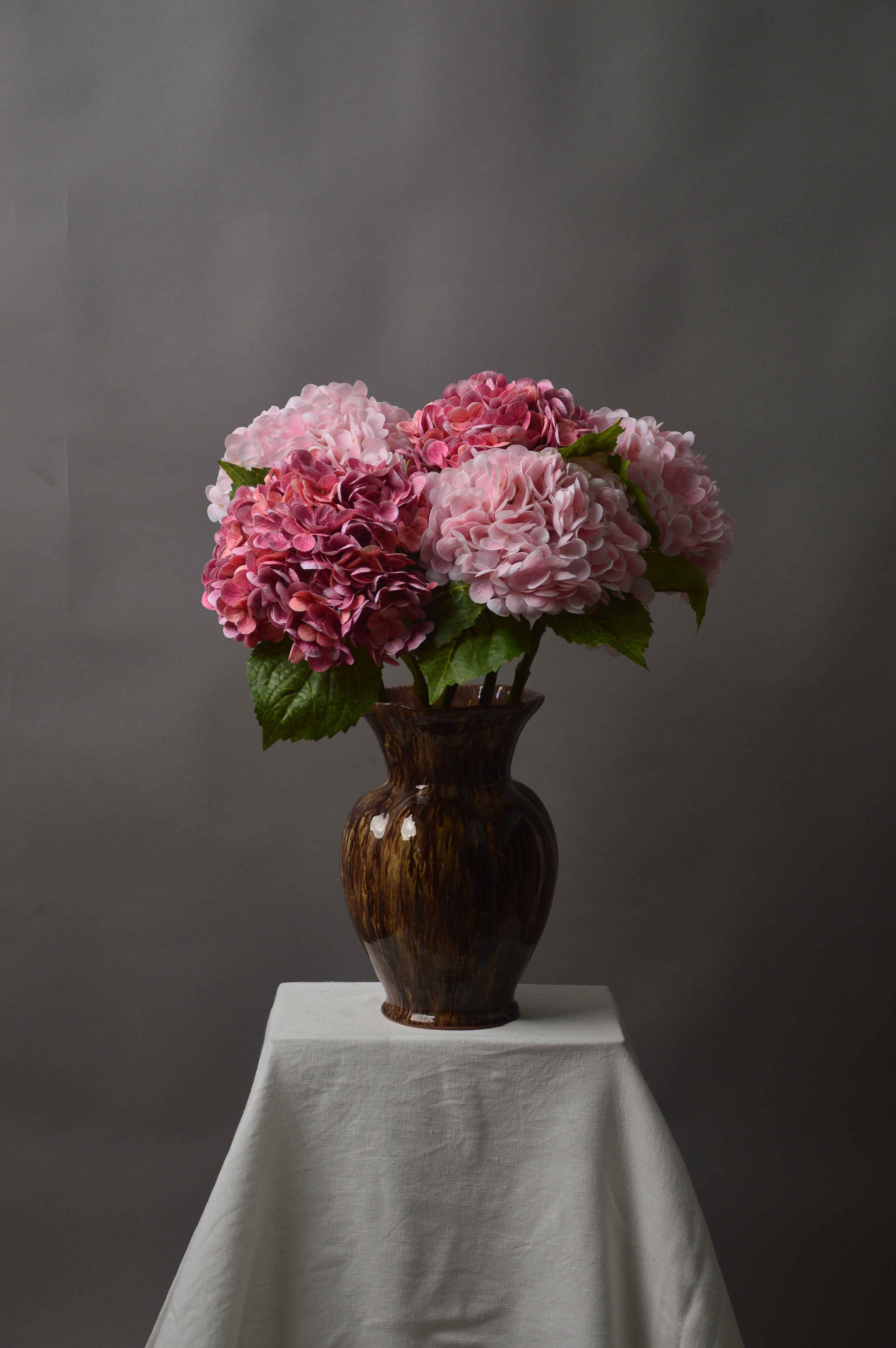 Hortensia