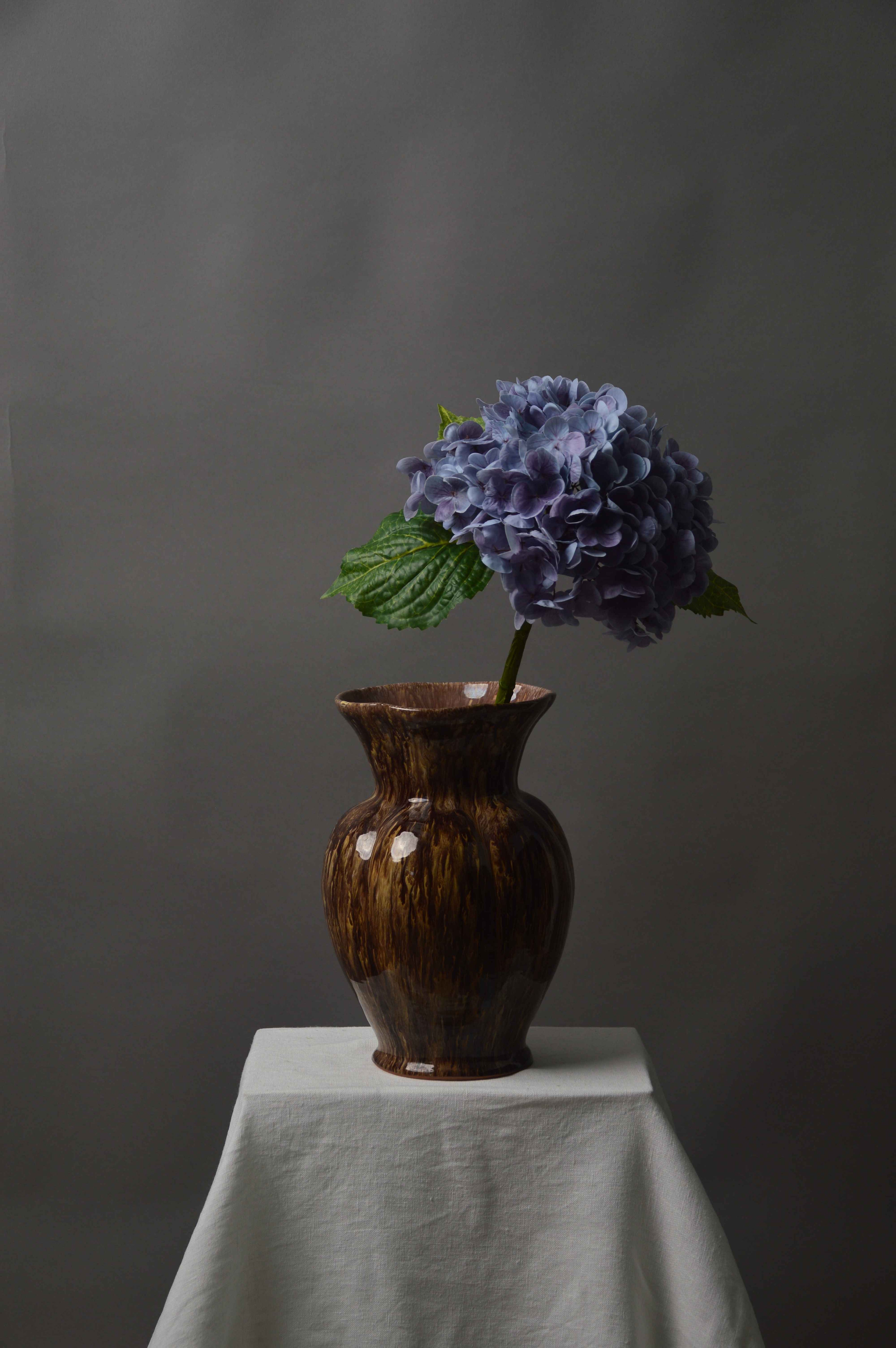 Hortensia