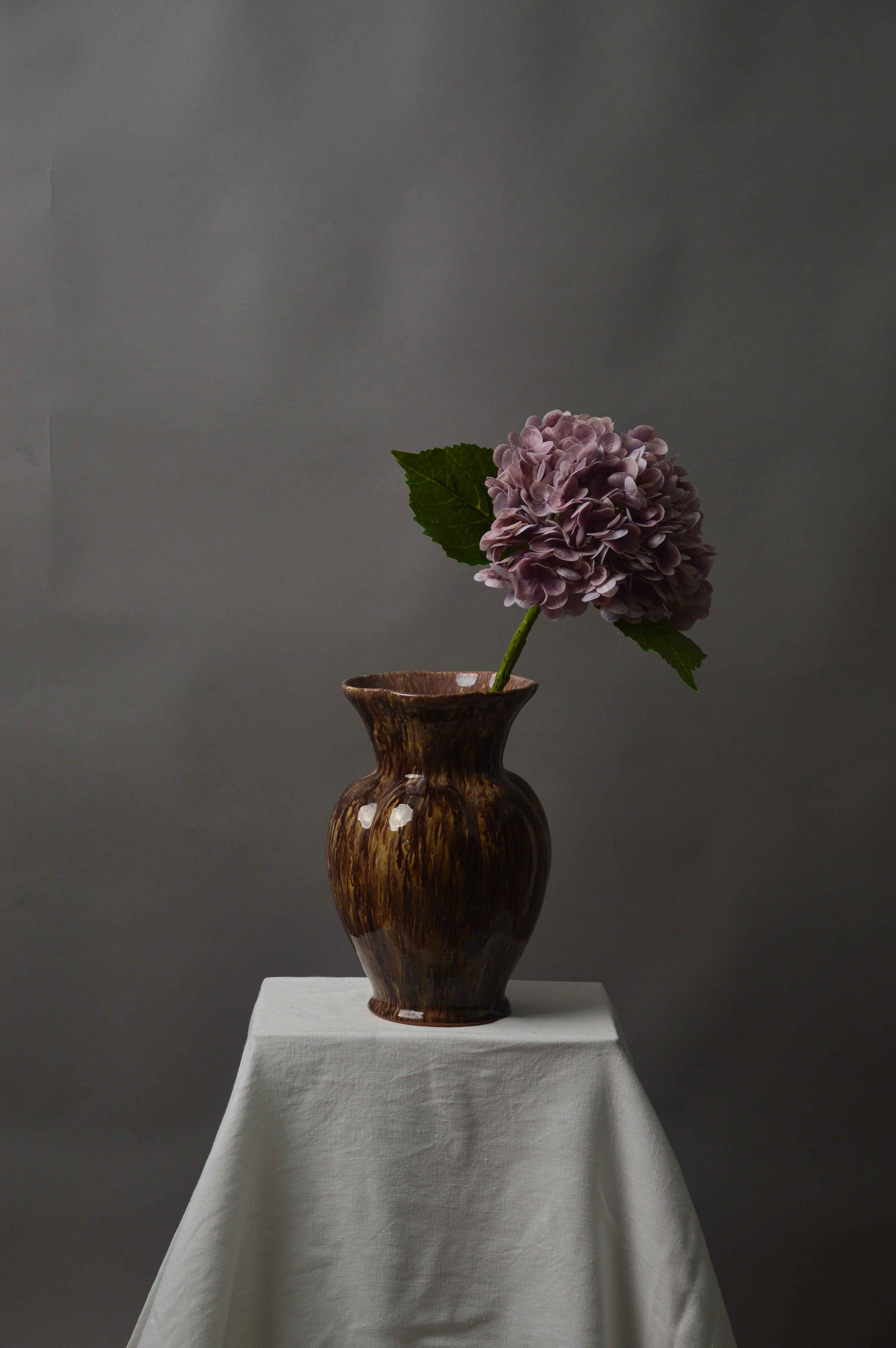 Hortensia