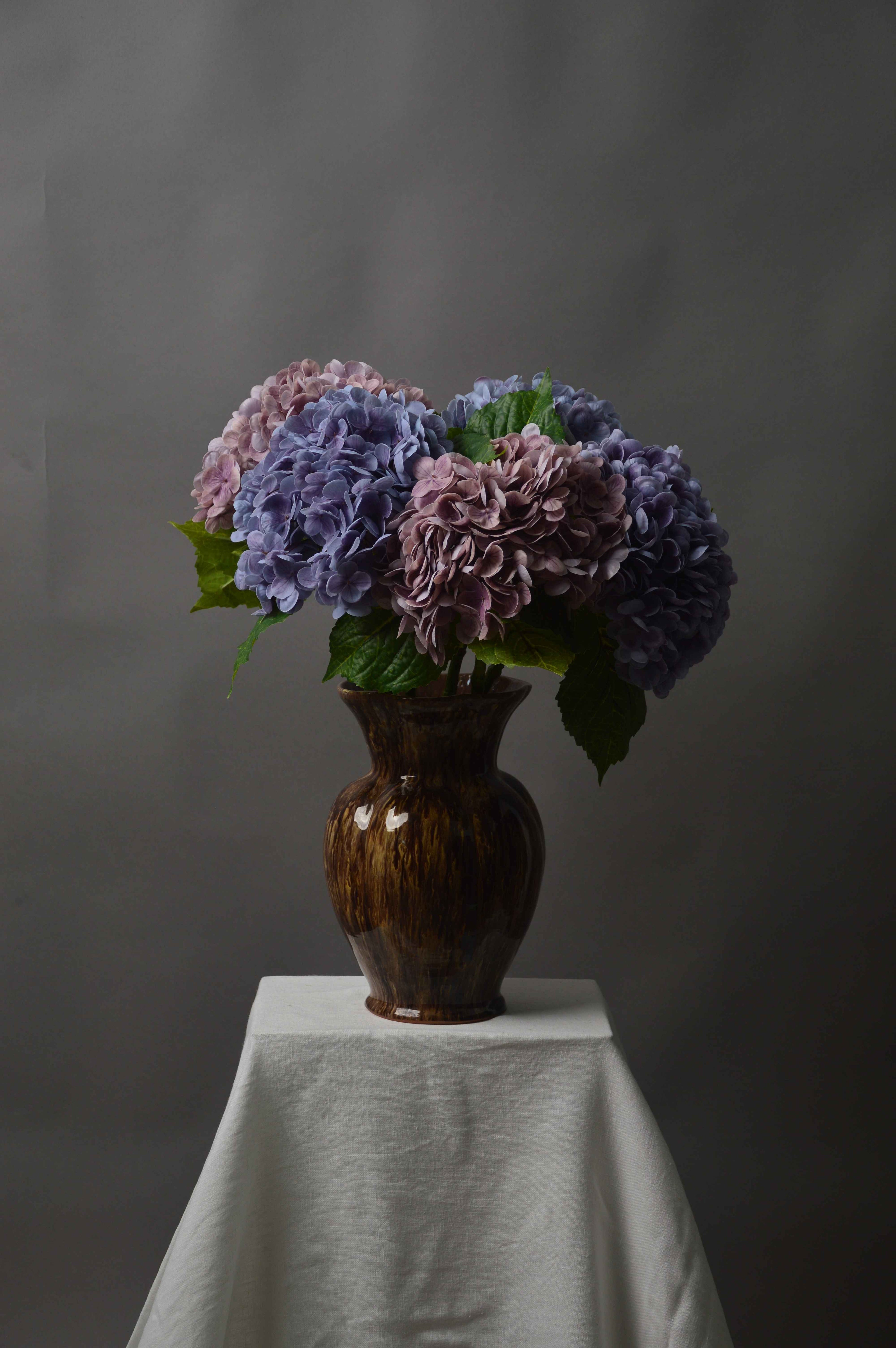 Hortensia