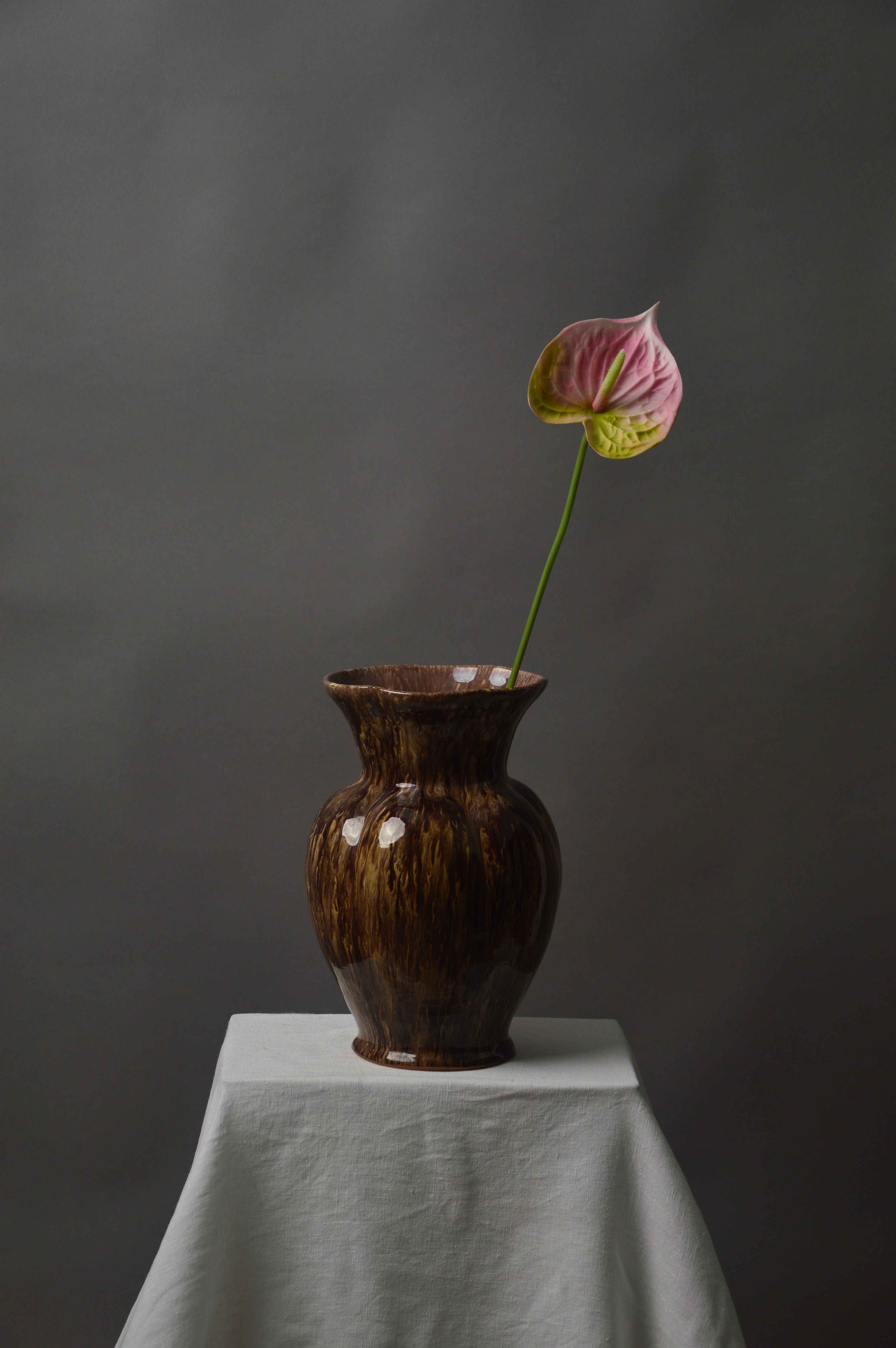 Anthurium