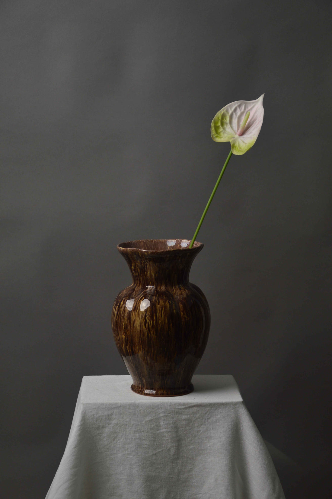 Anthurium
