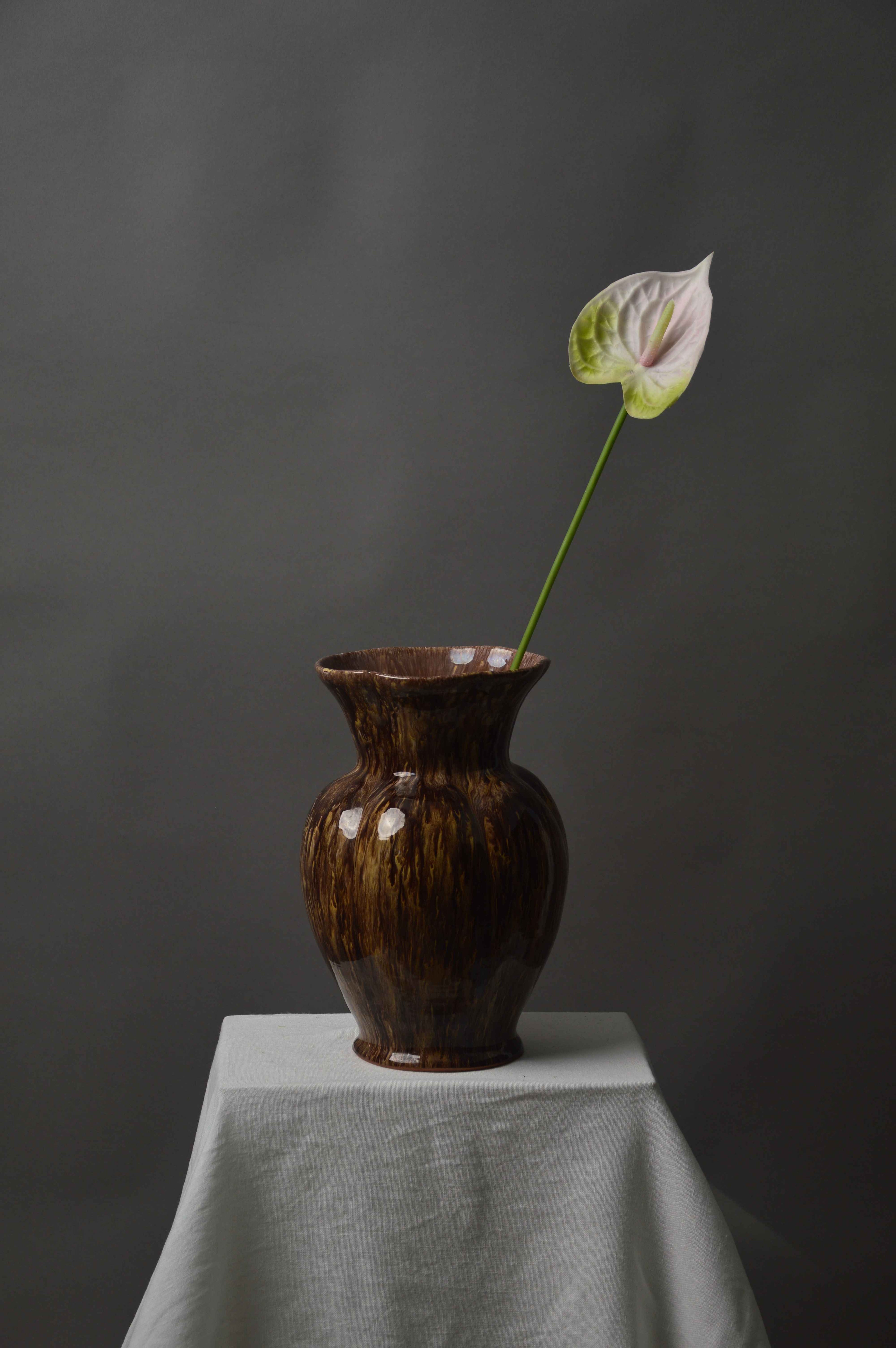 Anthurium
