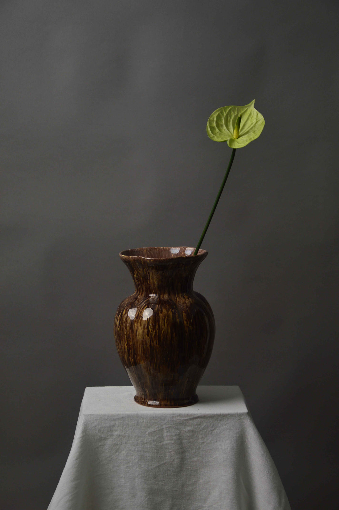 Anthurium
