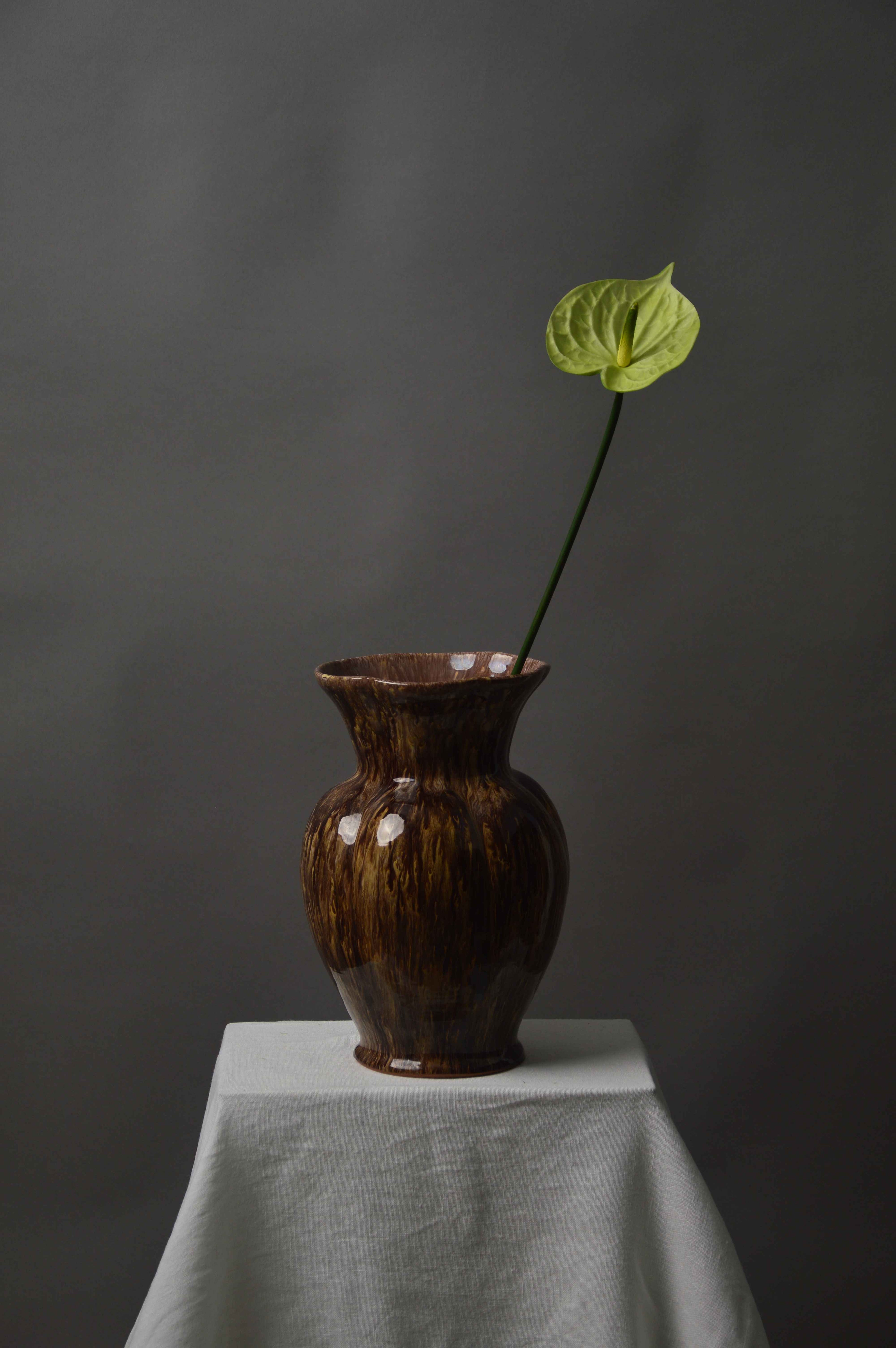 Anthurium