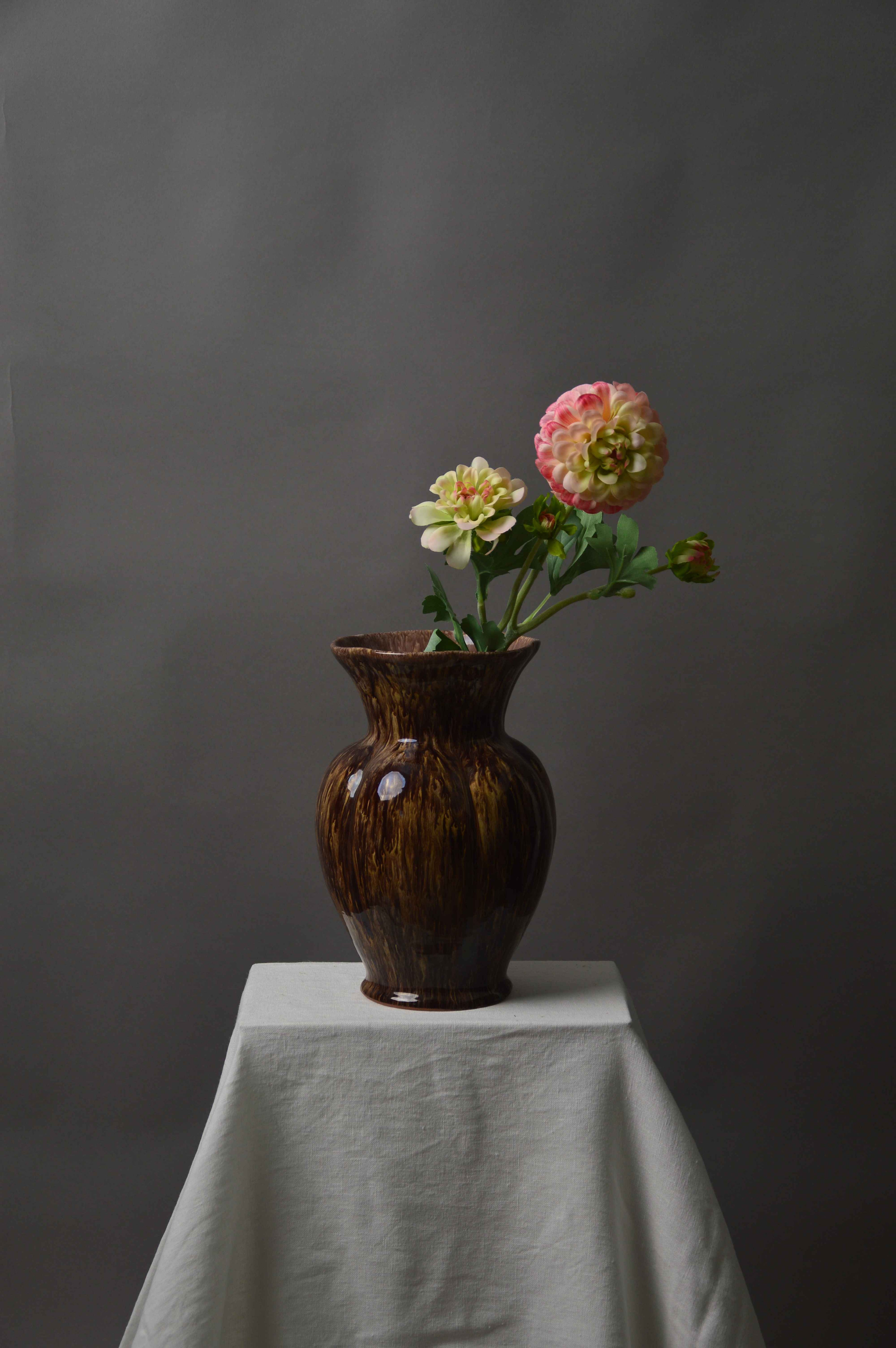 Zinnia
