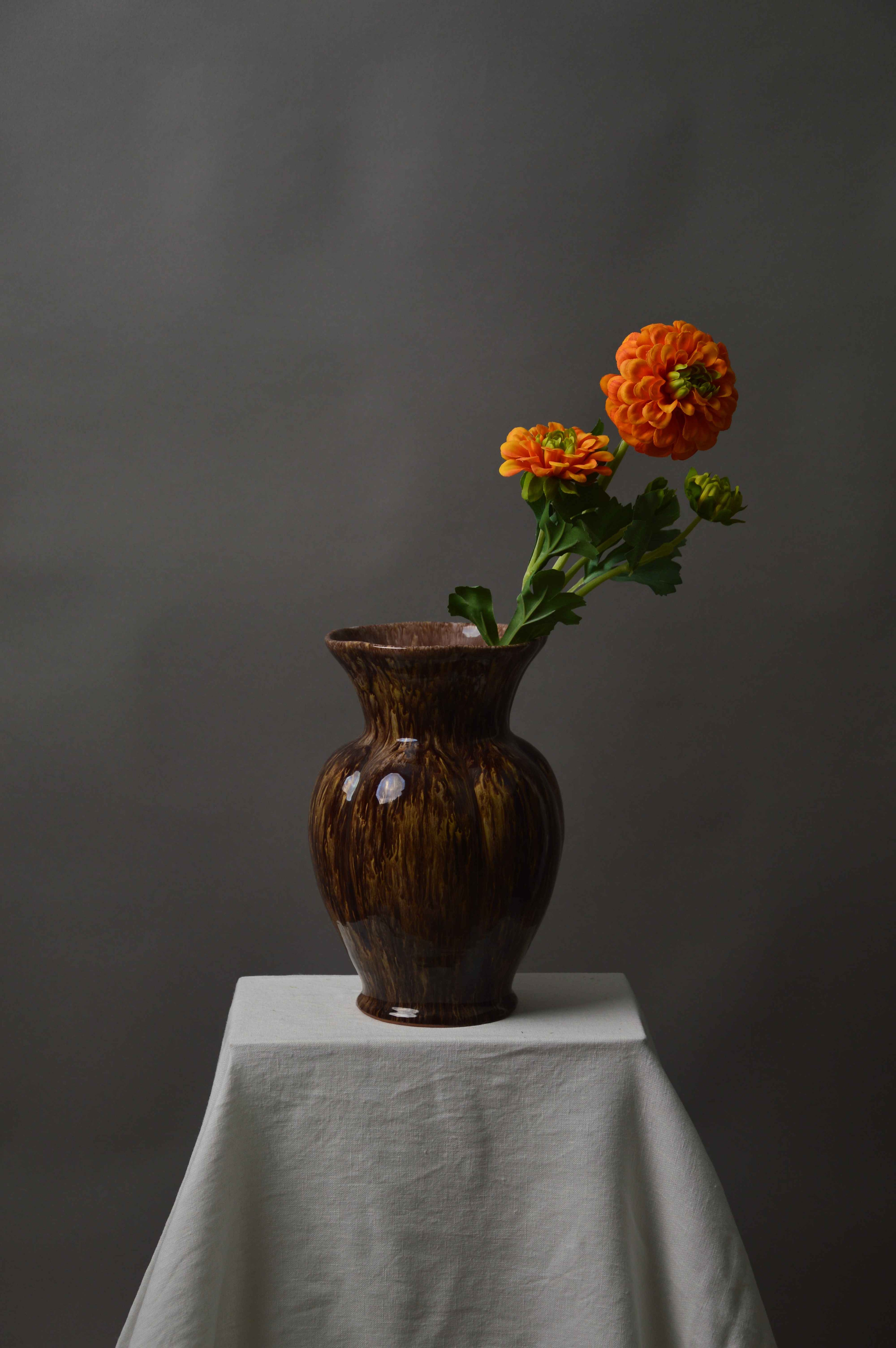 Zinnia