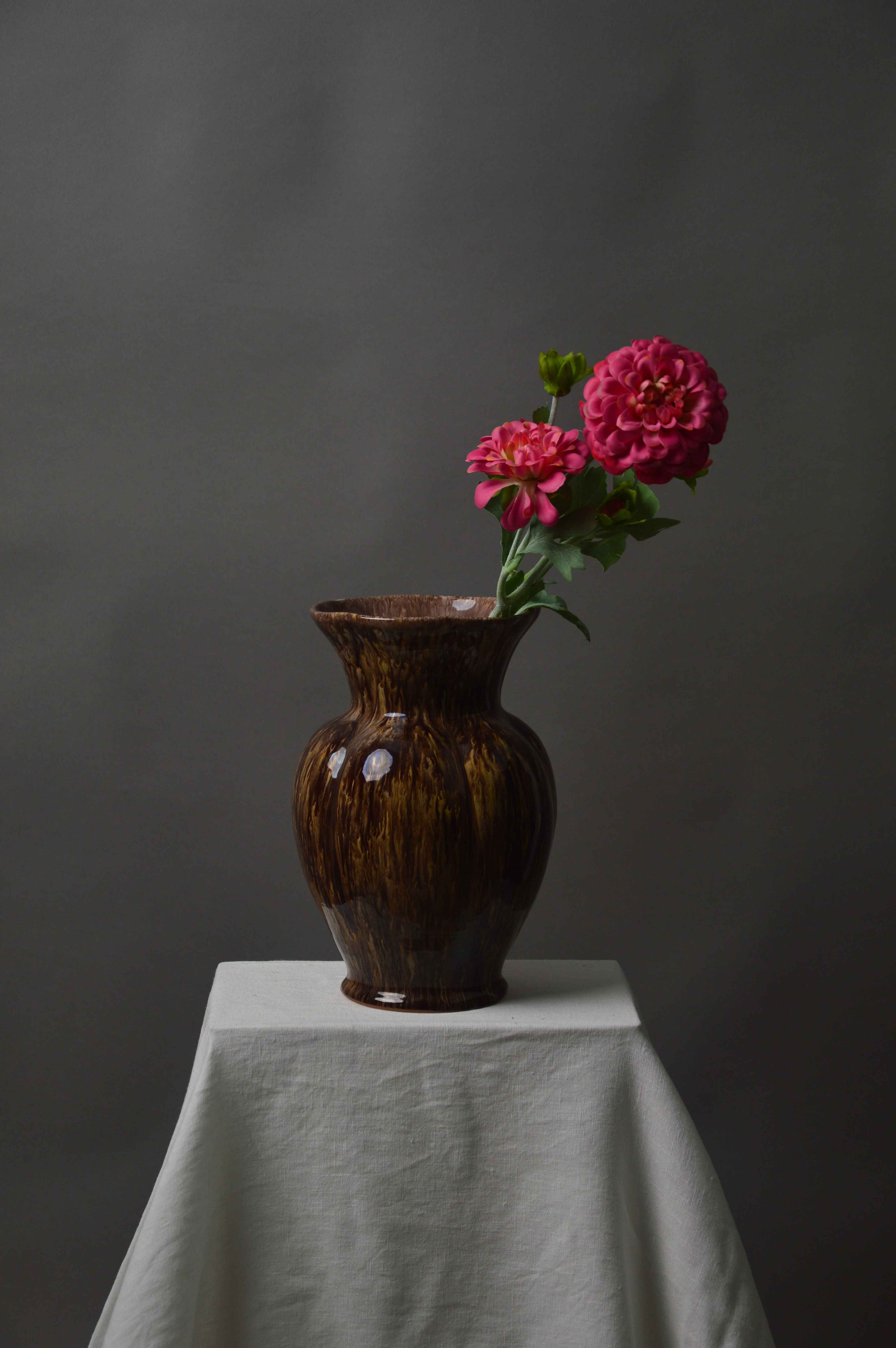 Zinnia
